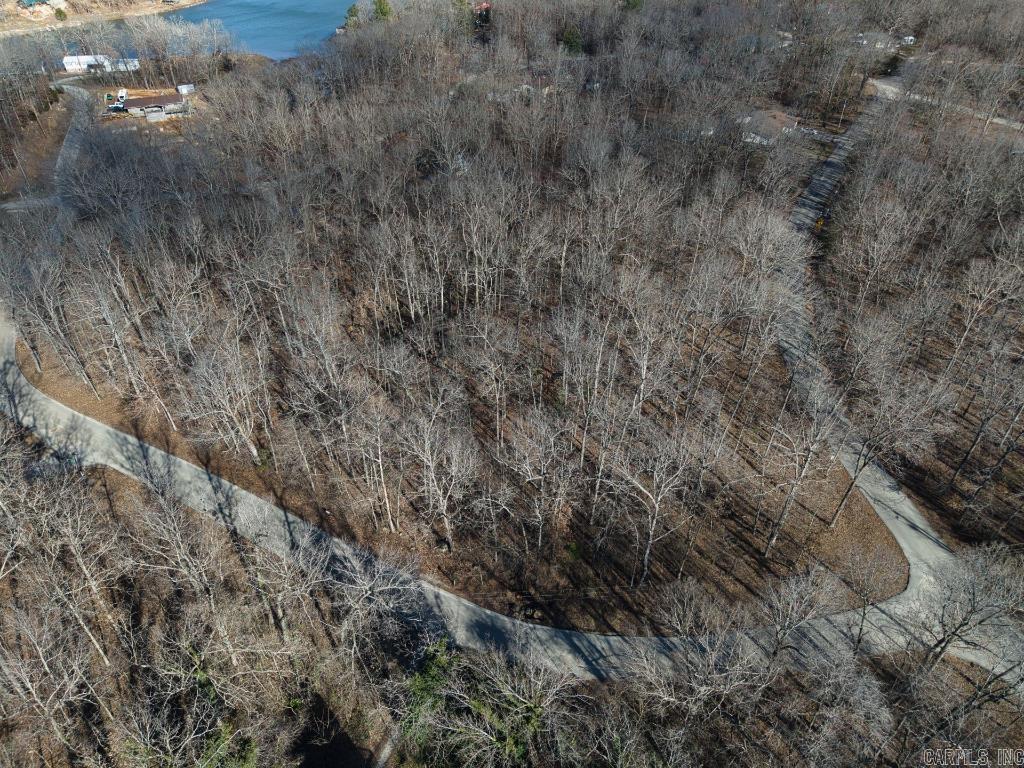 16  Buckskin Pass  Williford, AR