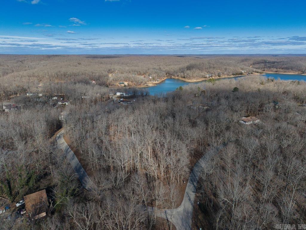 16  Buckskin Pass  Williford, AR