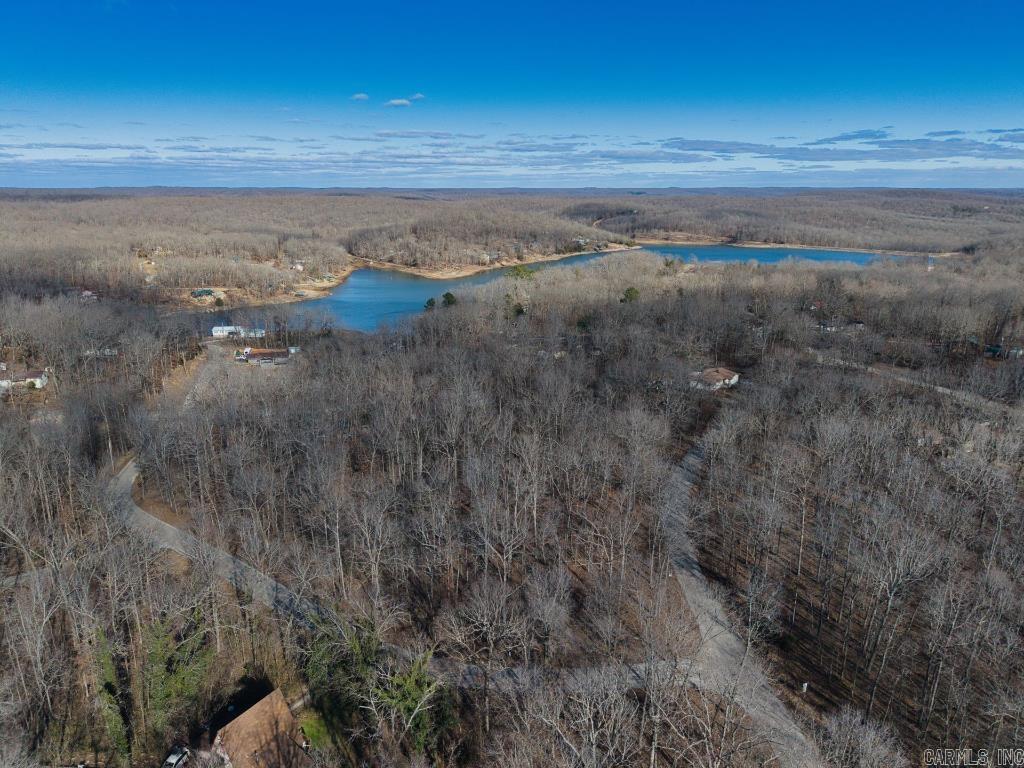 16  Buckskin Pass  Williford, AR