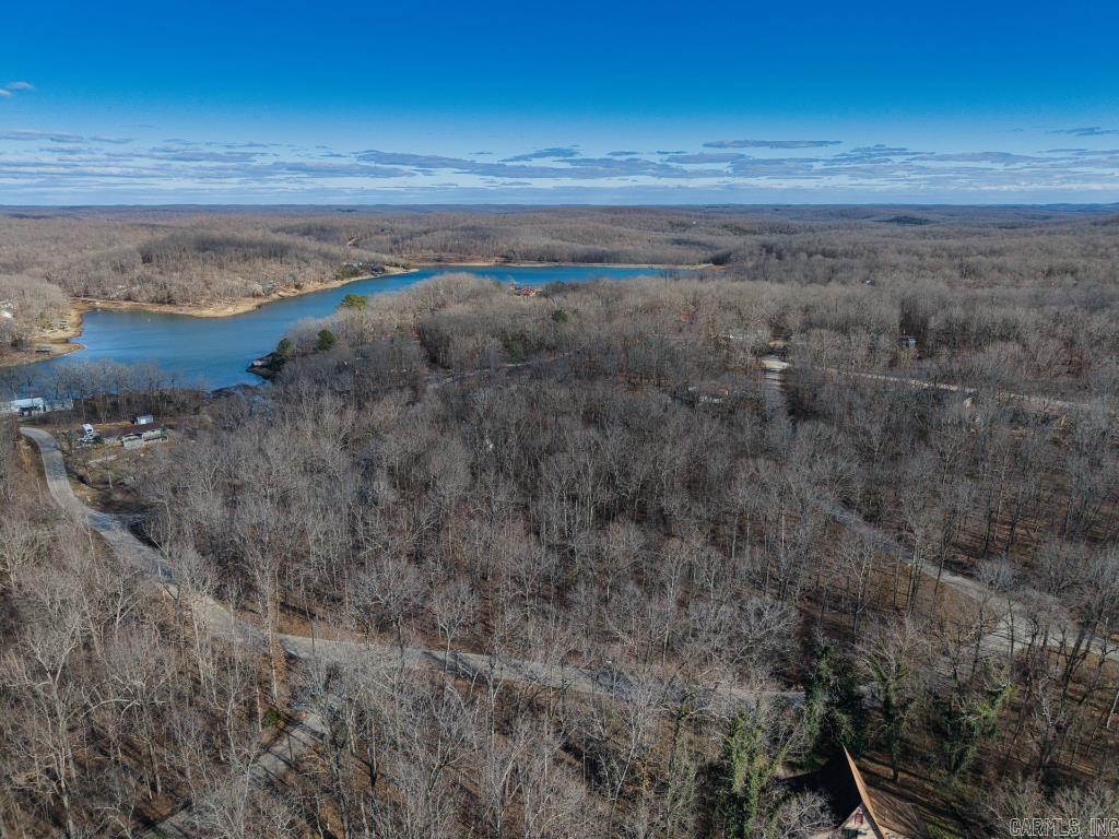16  Buckskin Pass  Williford, AR