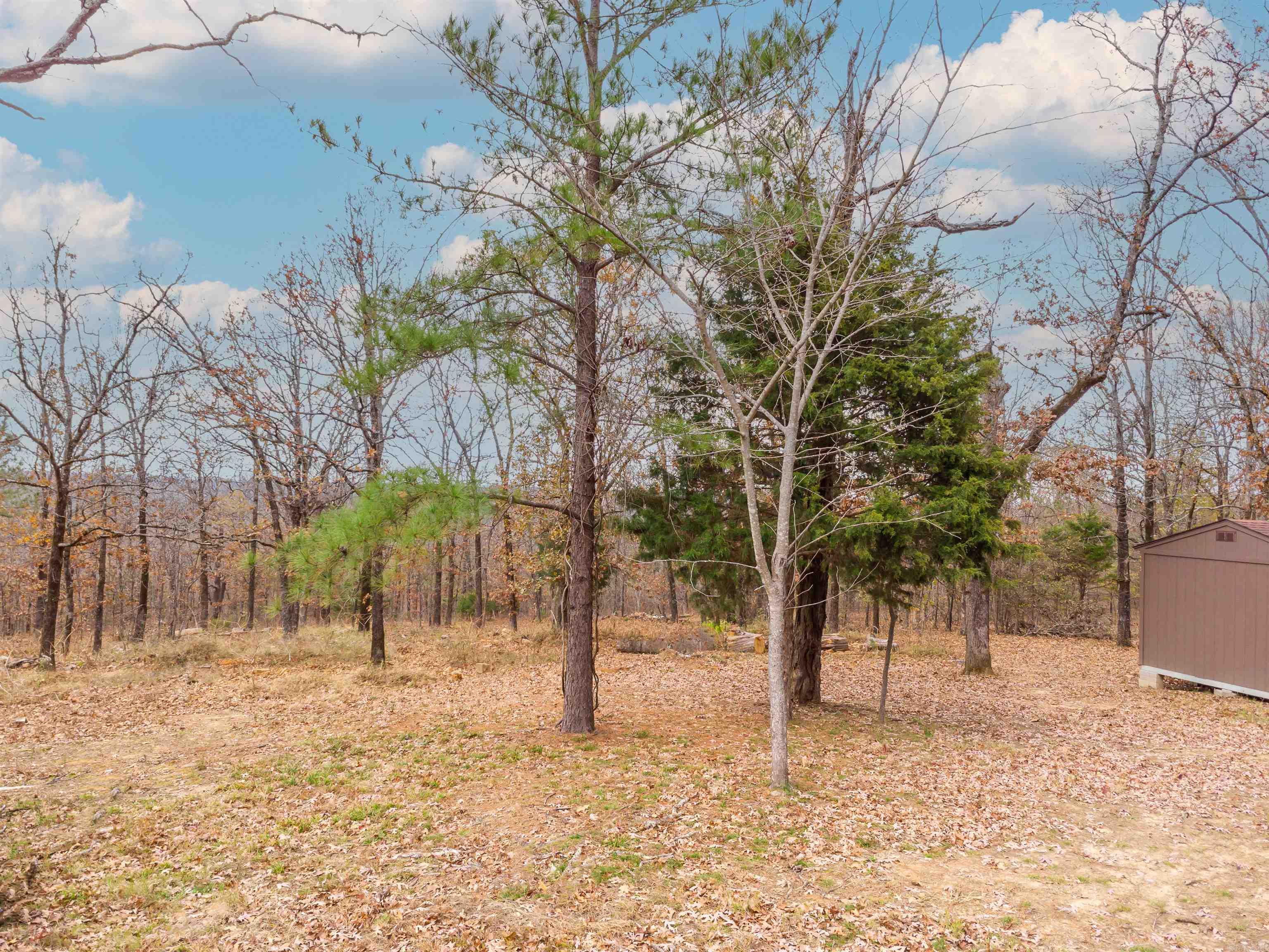 1913  Pride Gap  Cabot, AR