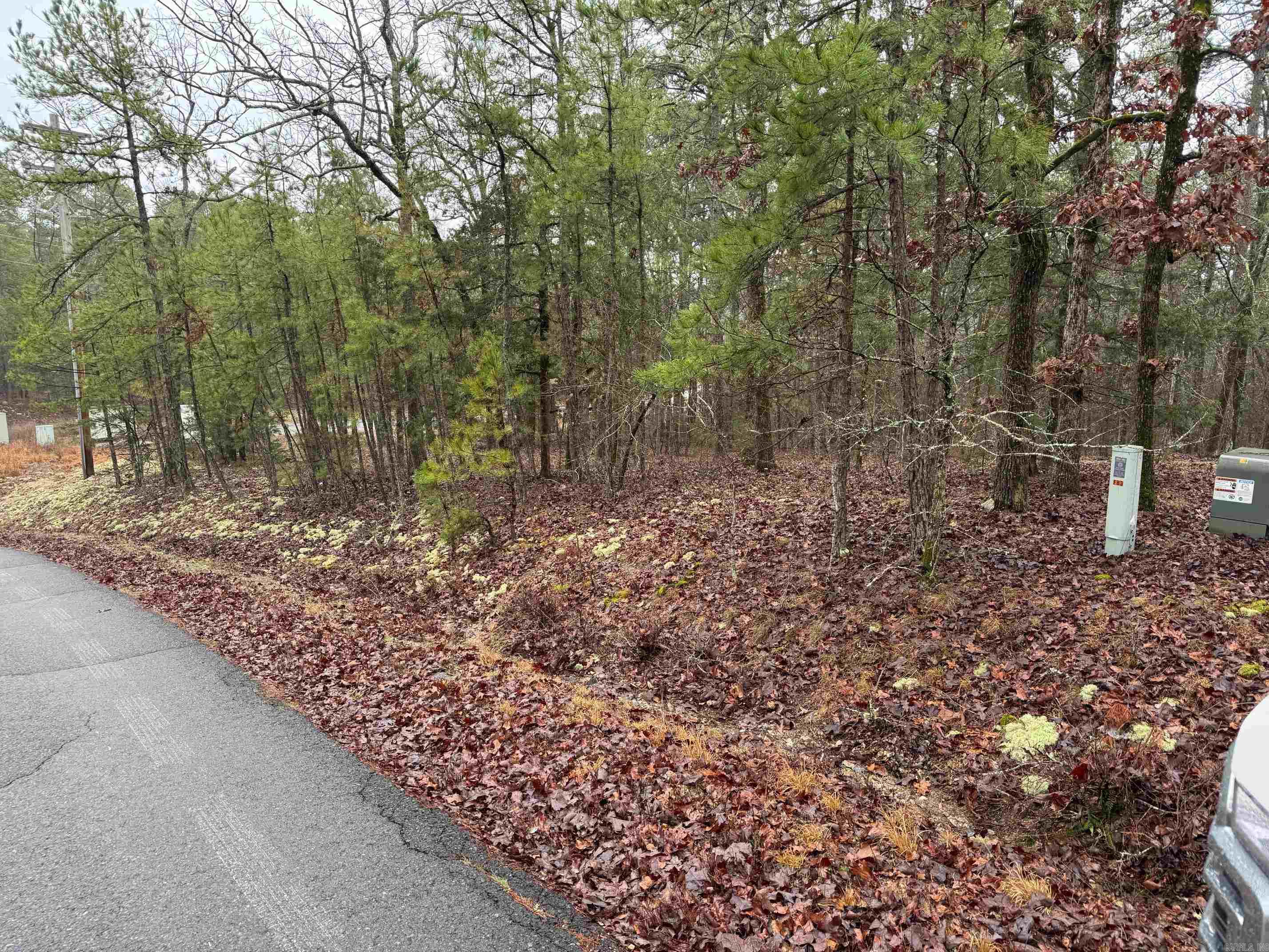 1  CRESTA WAY  Hot Springs Village, AR