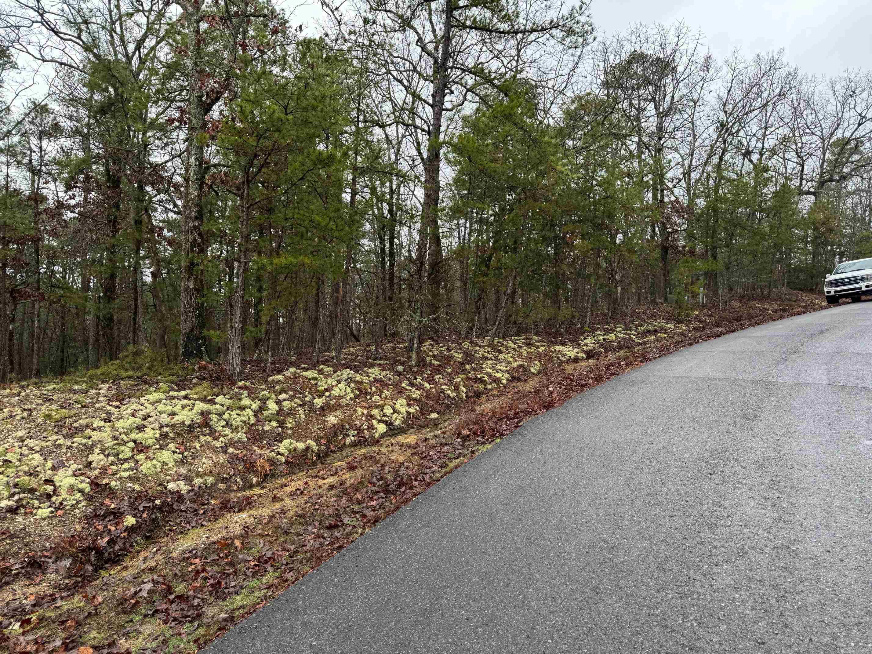 1  CRESTA WAY  Hot Springs Village, AR