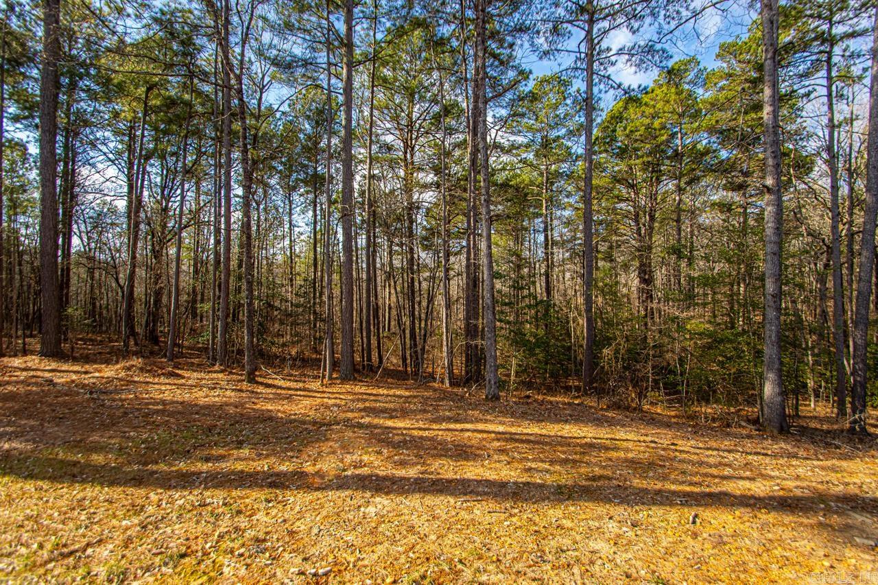 631  Zoa  Mabelvale, AR