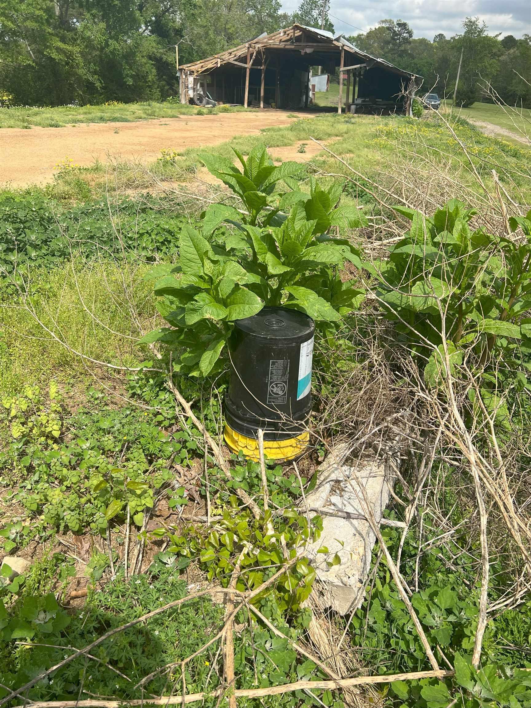 1034 Polk Road 47  Mena, AR