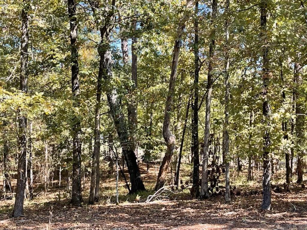 1  Jilguero  Hot Springs Village, AR
