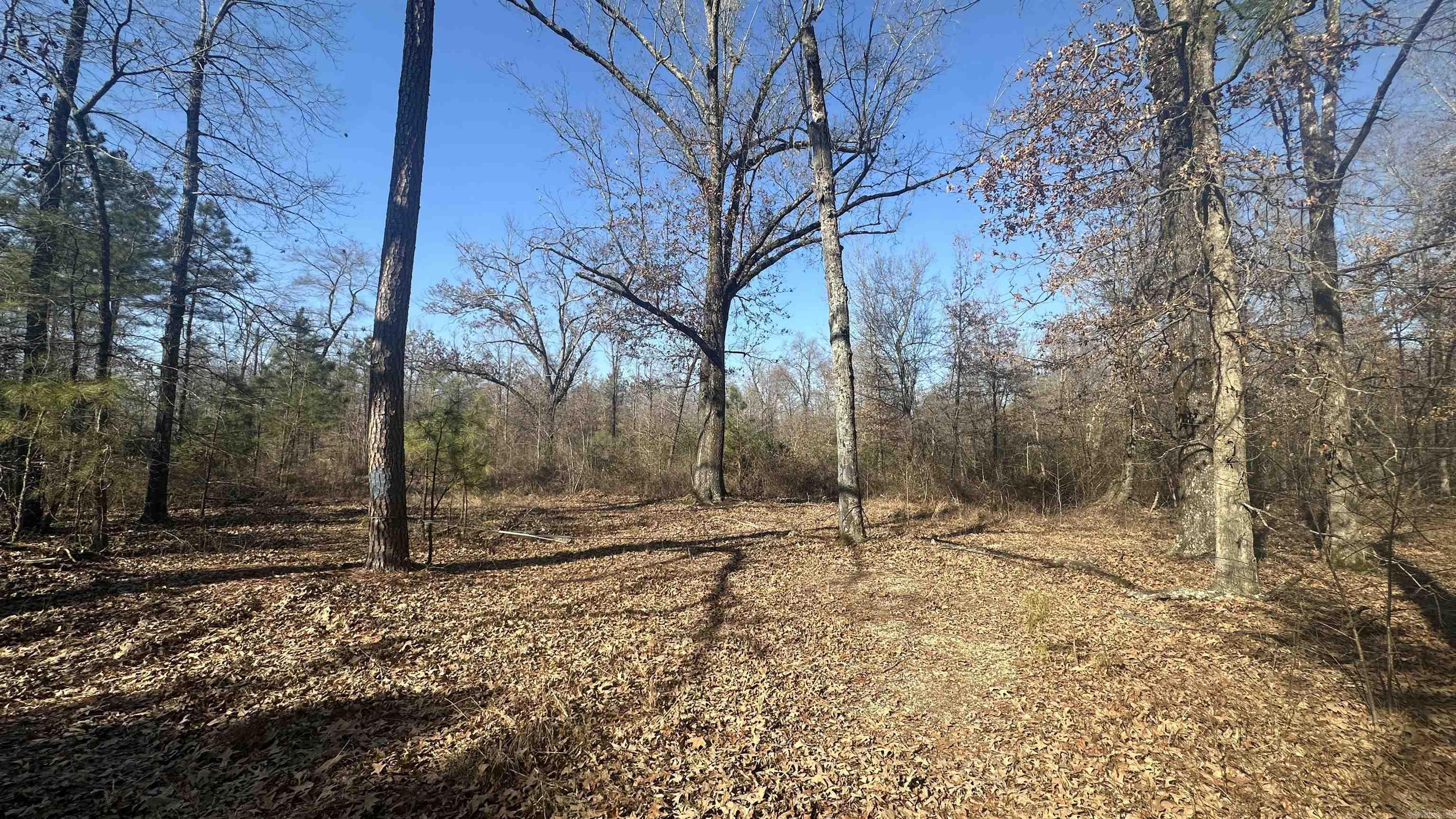 000  E. 38th Ave.  Pine Bluff, AR