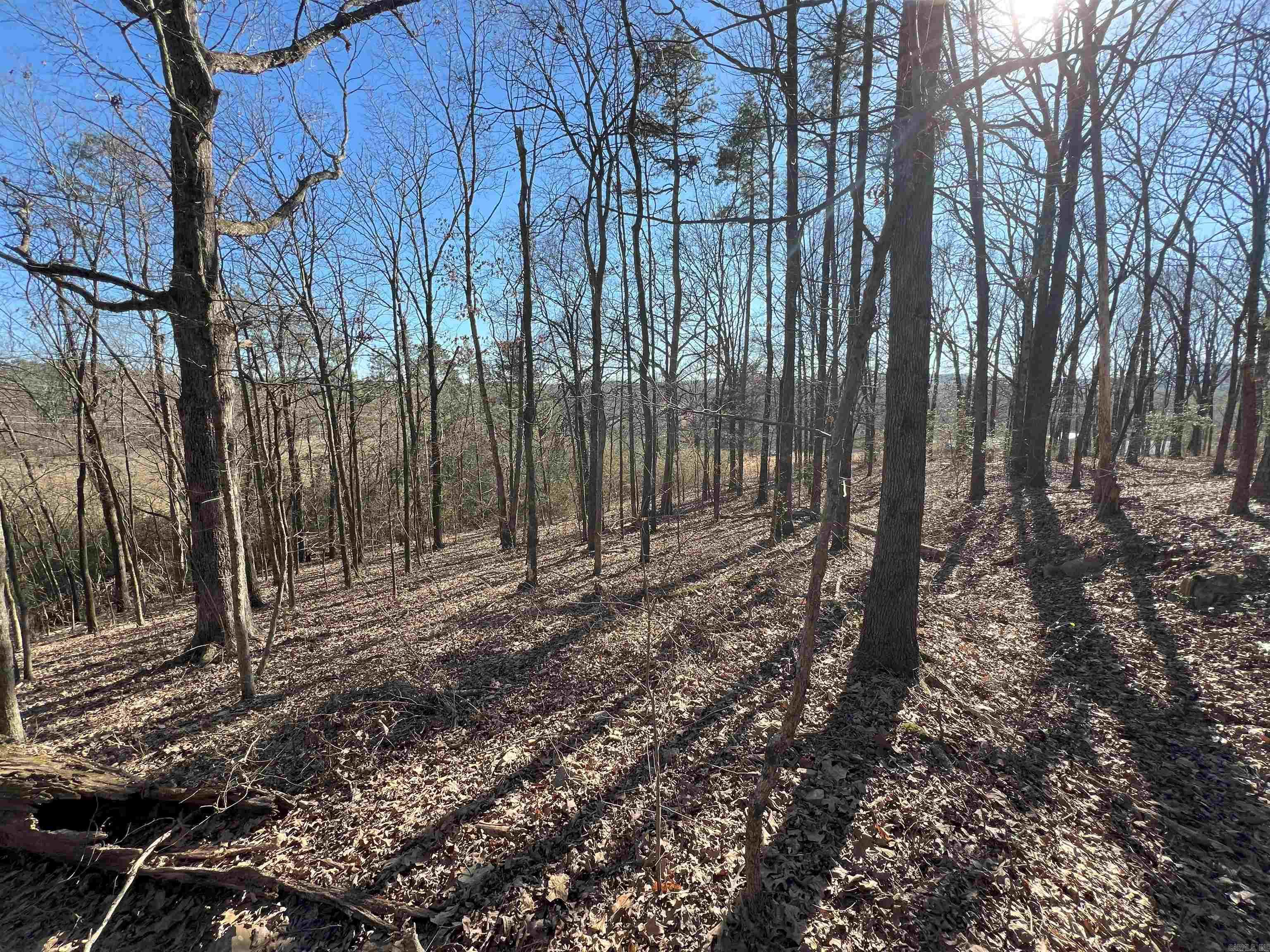 6522  Hwy 71 South  Cove, AR