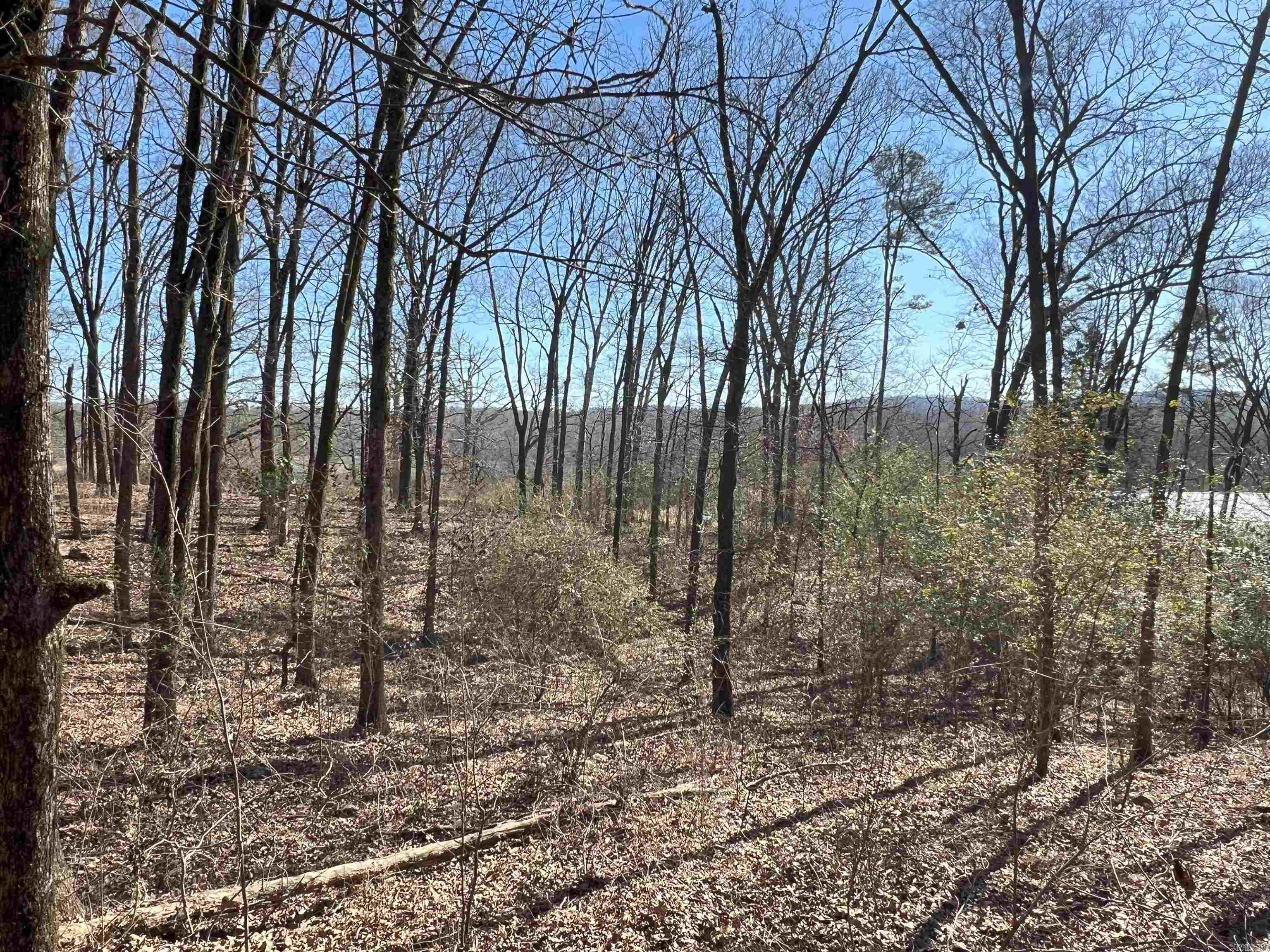6522  Hwy 71 South  Cove, AR