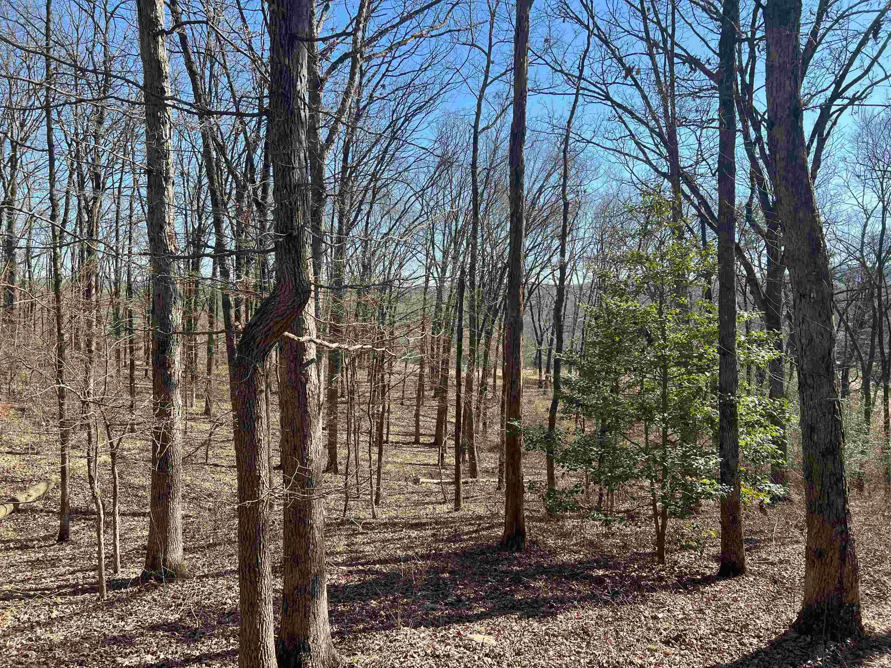 6522  Hwy 71 South  Cove, AR