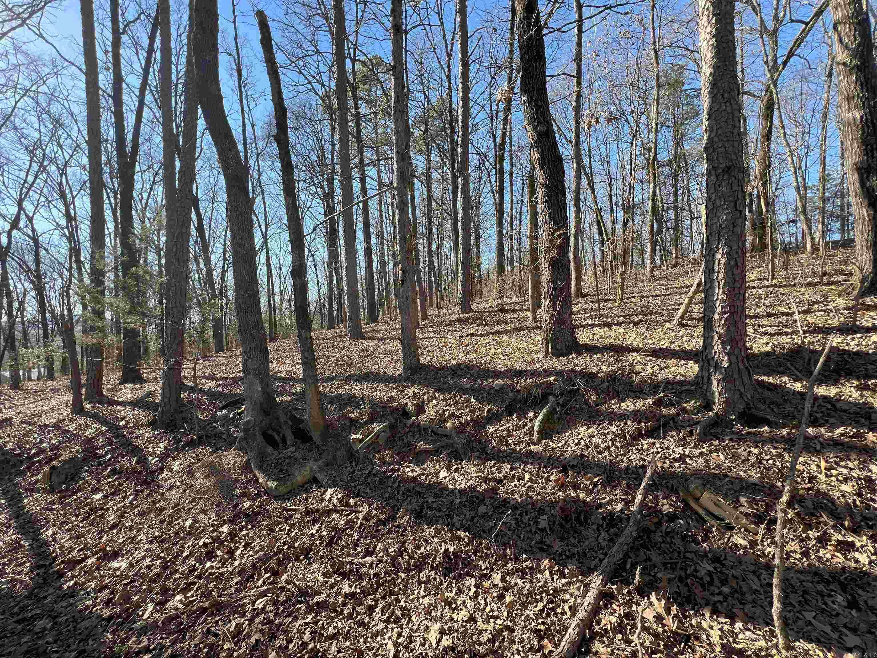 6522  Hwy 71 South  Cove, AR