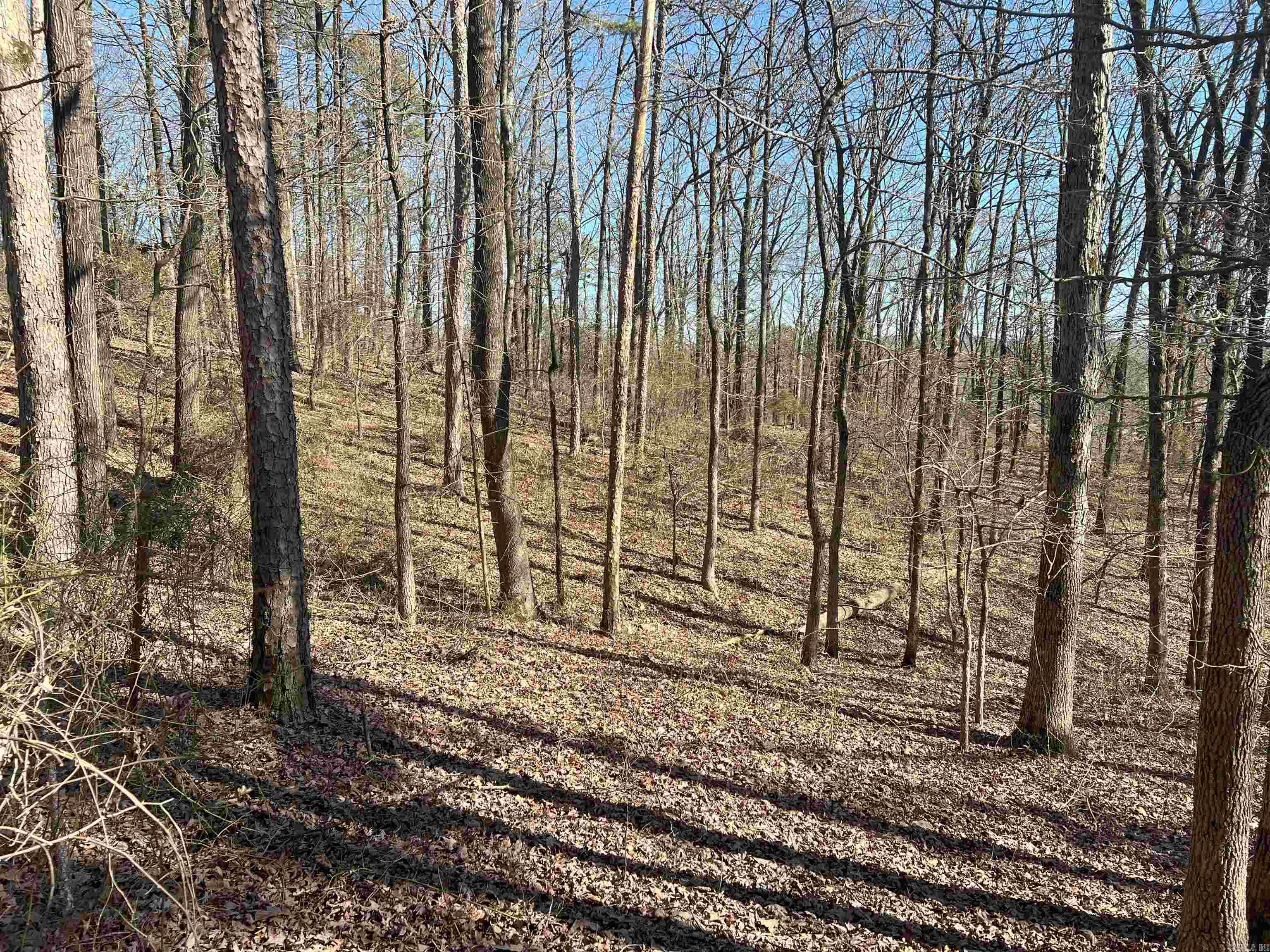 6522  Hwy 71 South  Cove, AR