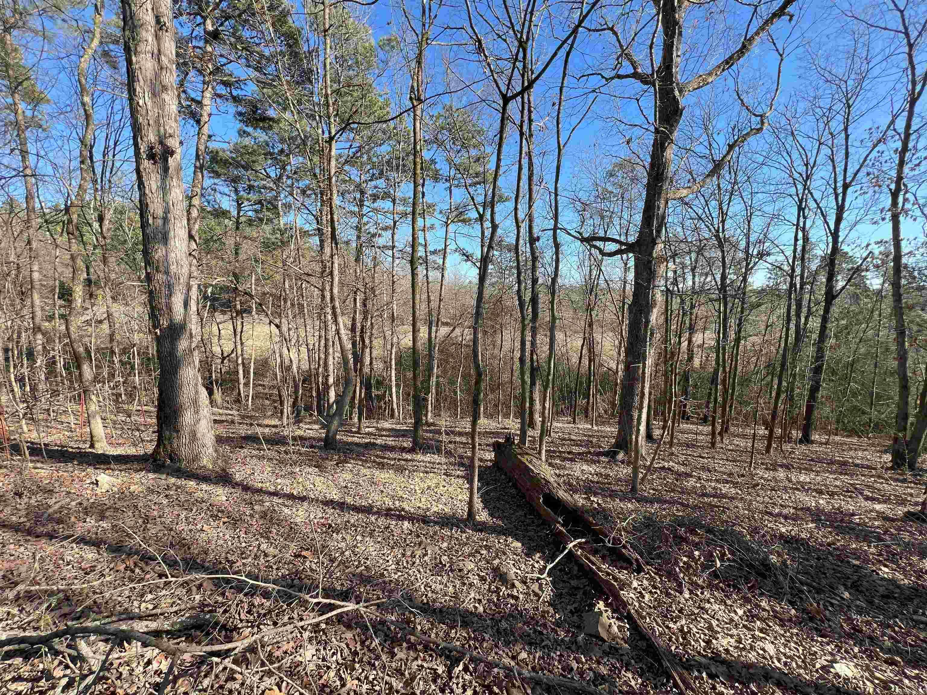 6522  Hwy 71 South  Cove, AR
