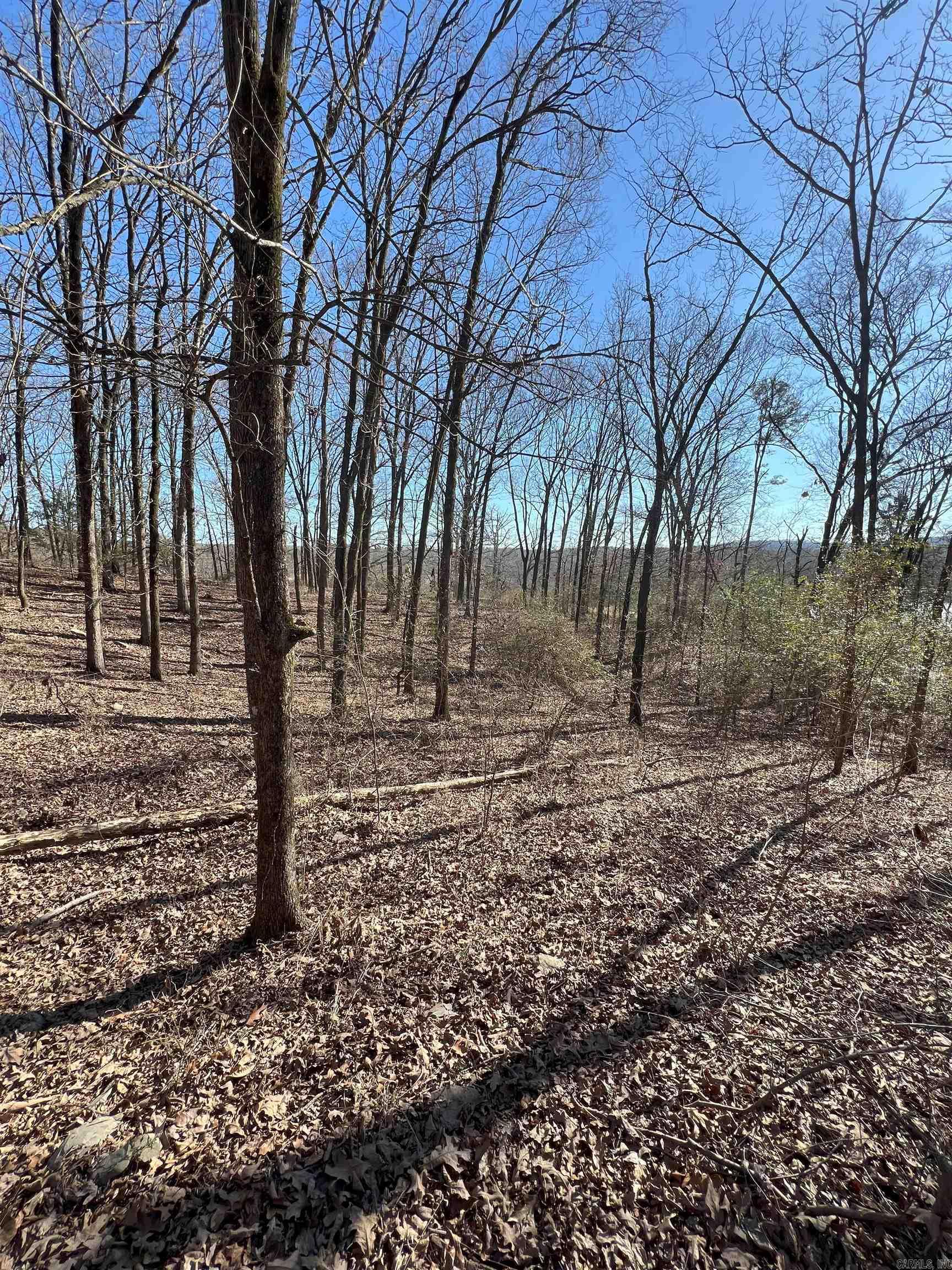 6522  Hwy 71 South  Cove, AR