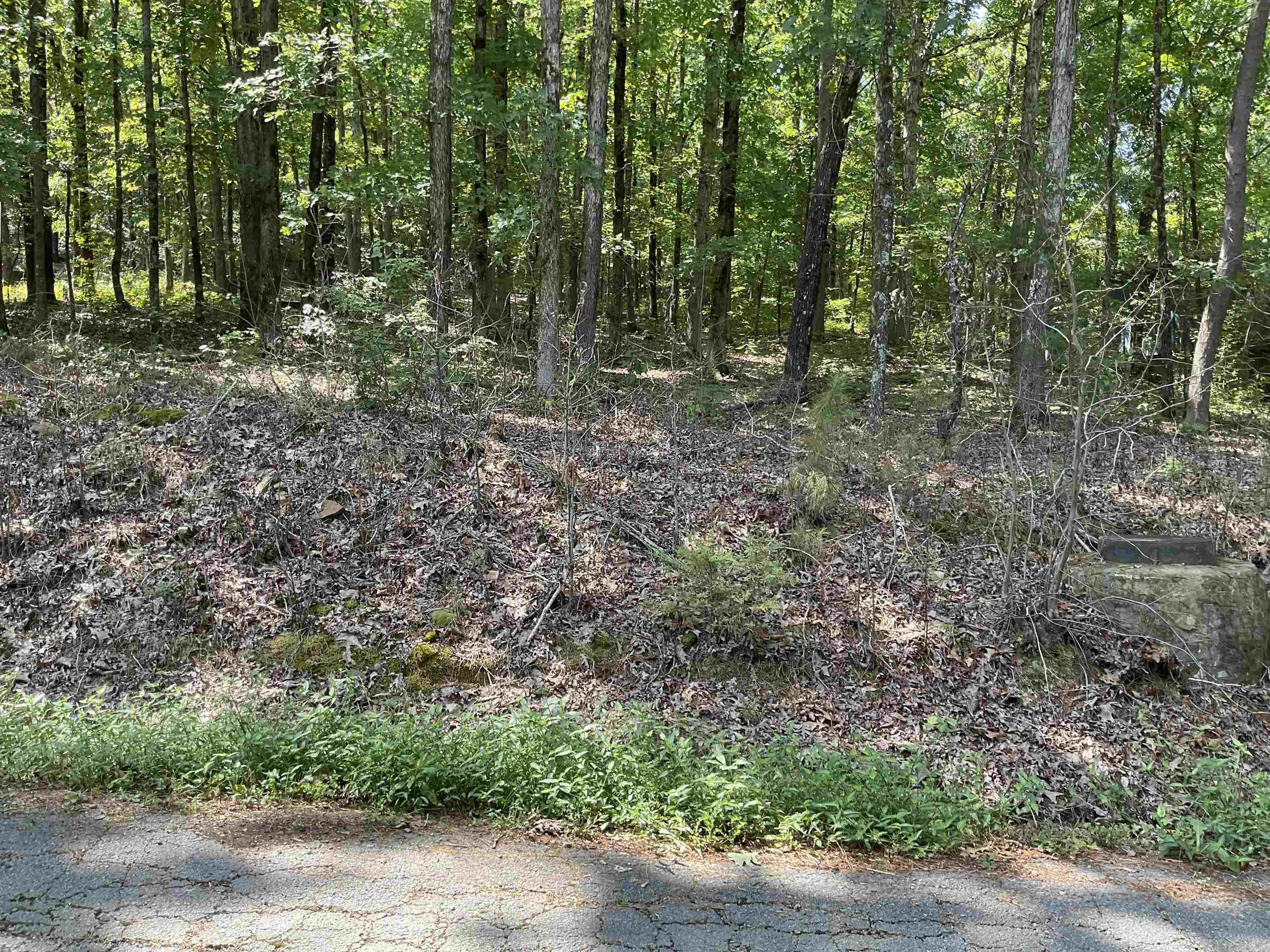 L29  Dogwood Trail  Heber Springs, AR