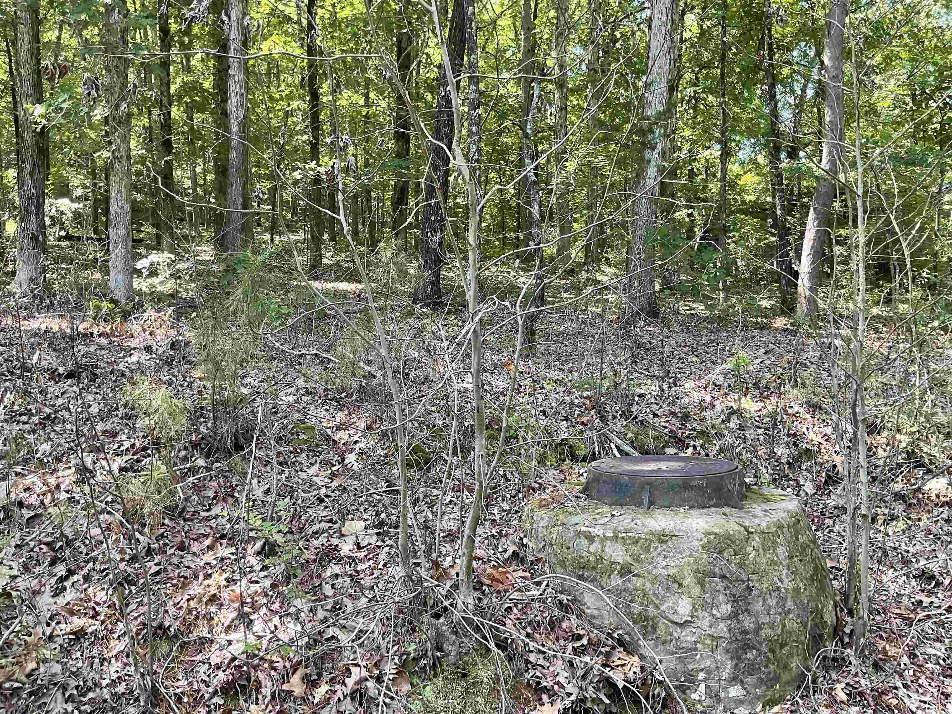 L29  Dogwood Trail  Heber Springs, AR
