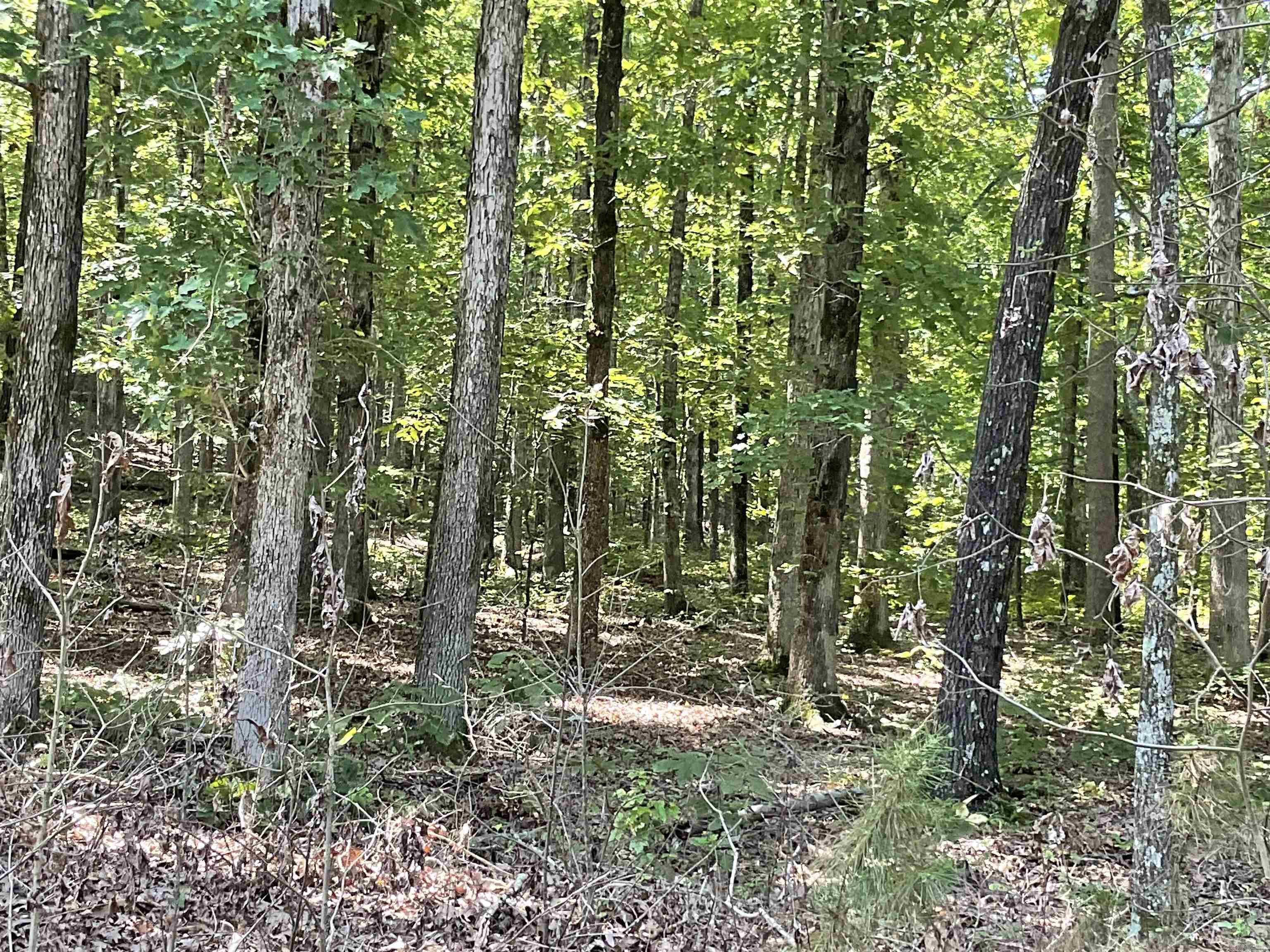 L29  Dogwood Trail  Heber Springs, AR