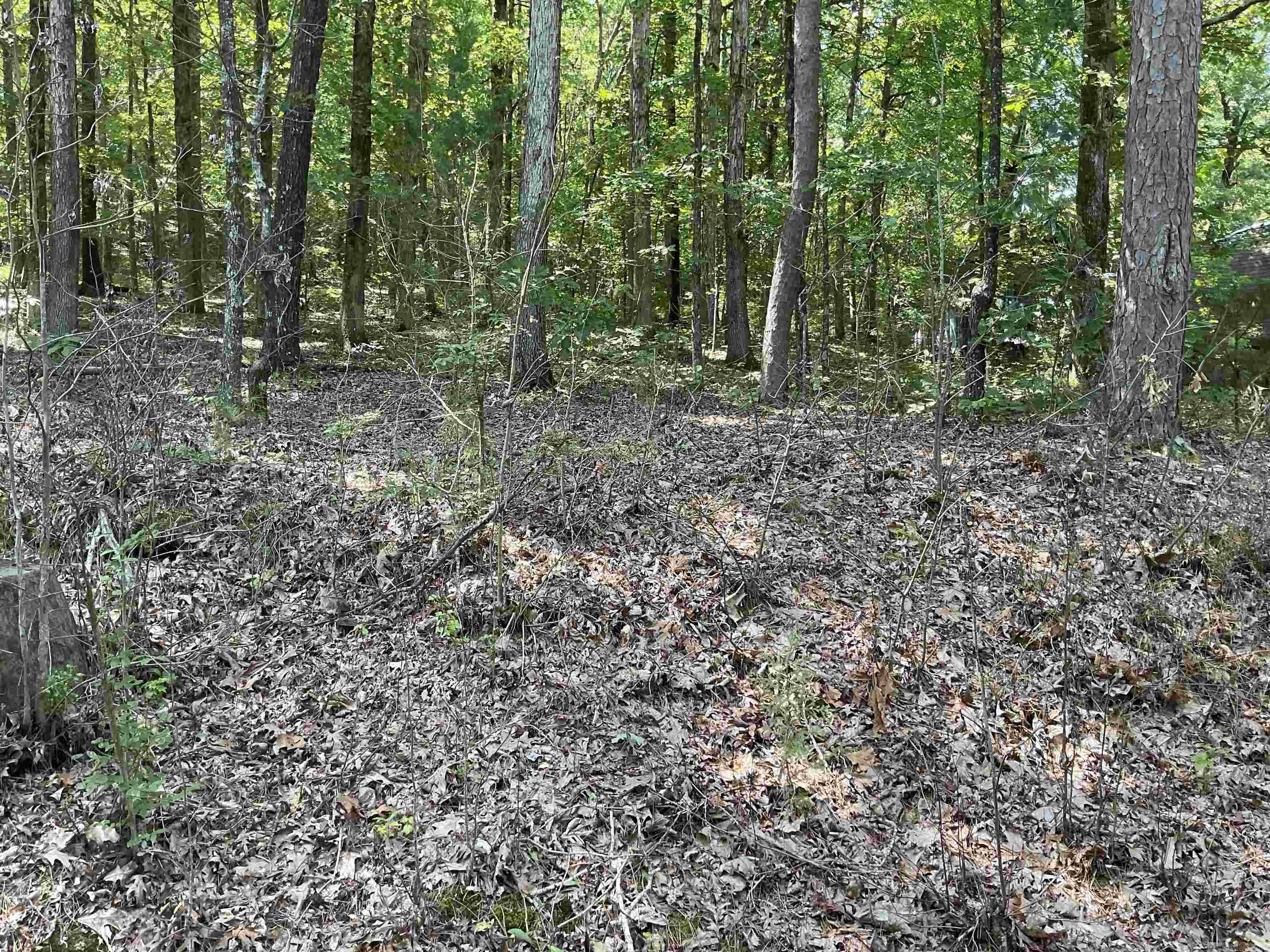 L29  Dogwood Trail  Heber Springs, AR