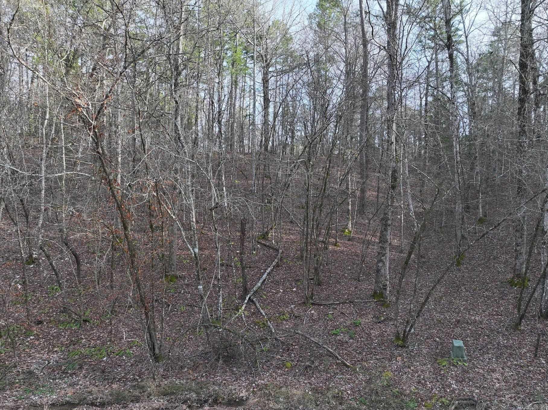 229  Denby Cove Lot 17 Mount Ida, AR
