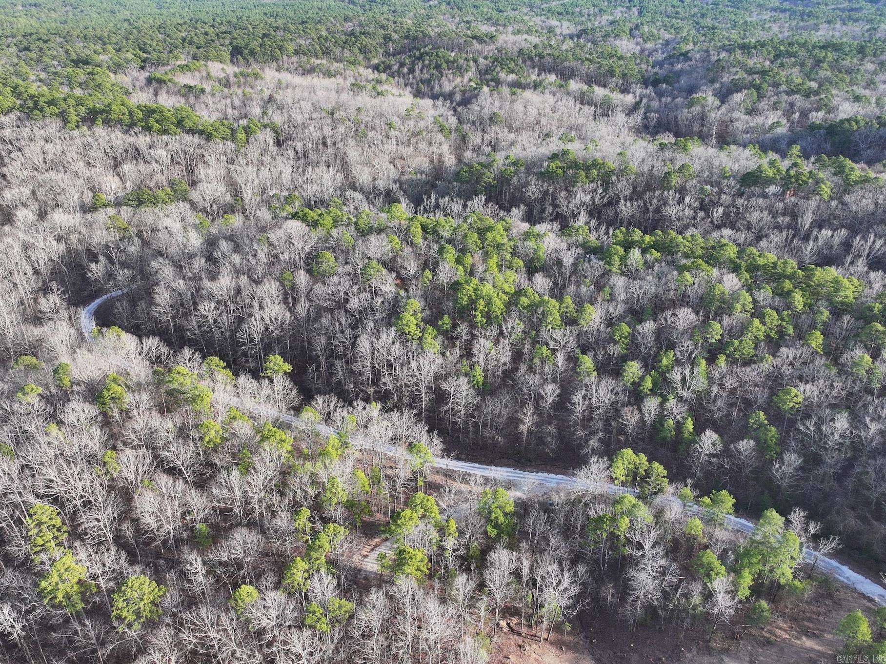 229  Denby Cove Lot 17 Mount Ida, AR