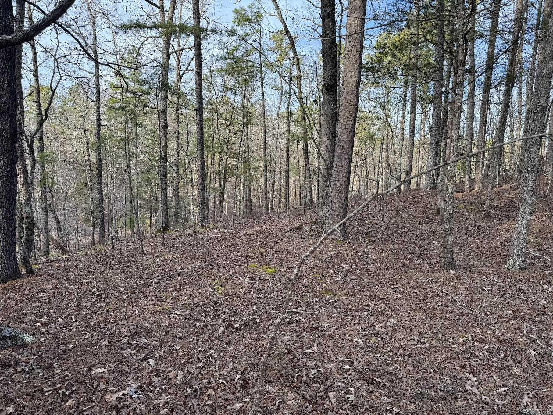 229  Denby Cove Lot 17 Mount Ida, AR