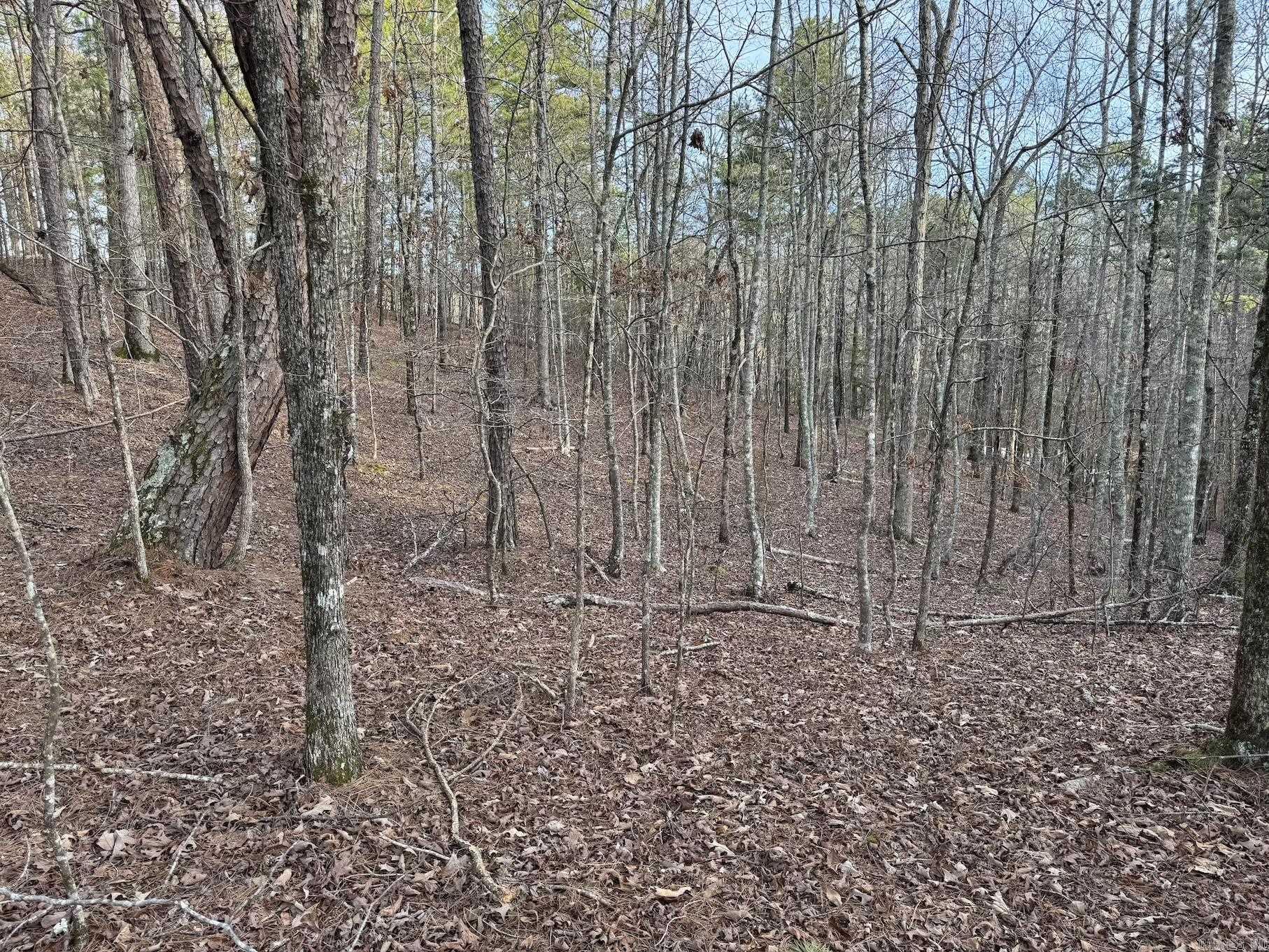 229  Denby Cove Lot 17 Mount Ida, AR