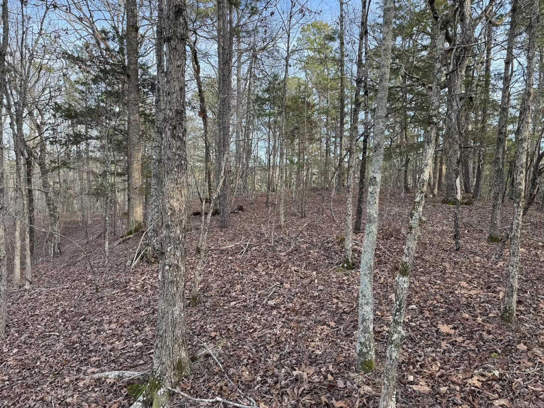229  Denby Cove Lot 17 Mount Ida, AR