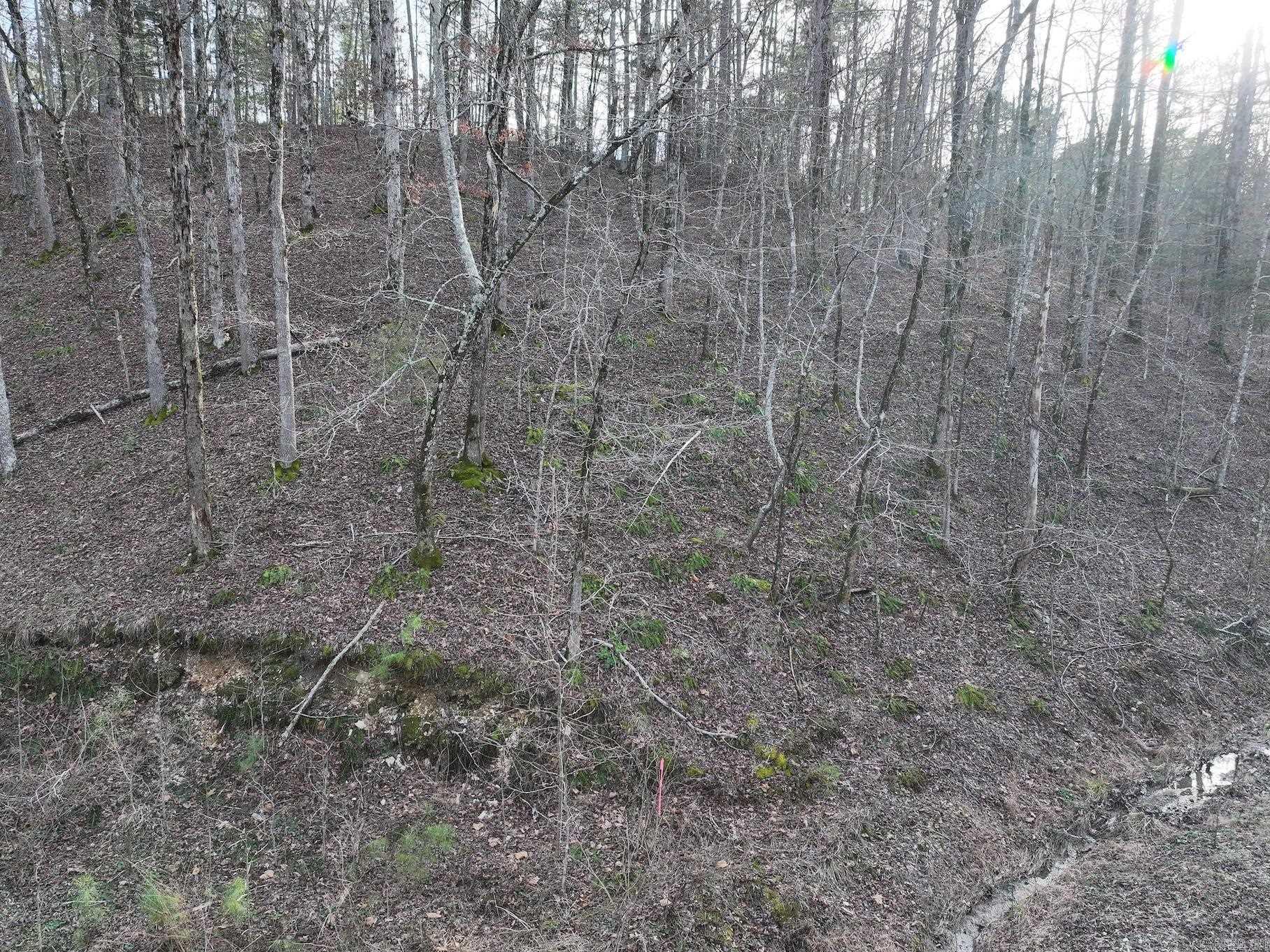 229  Denby Cove Lot 17 Mount Ida, AR