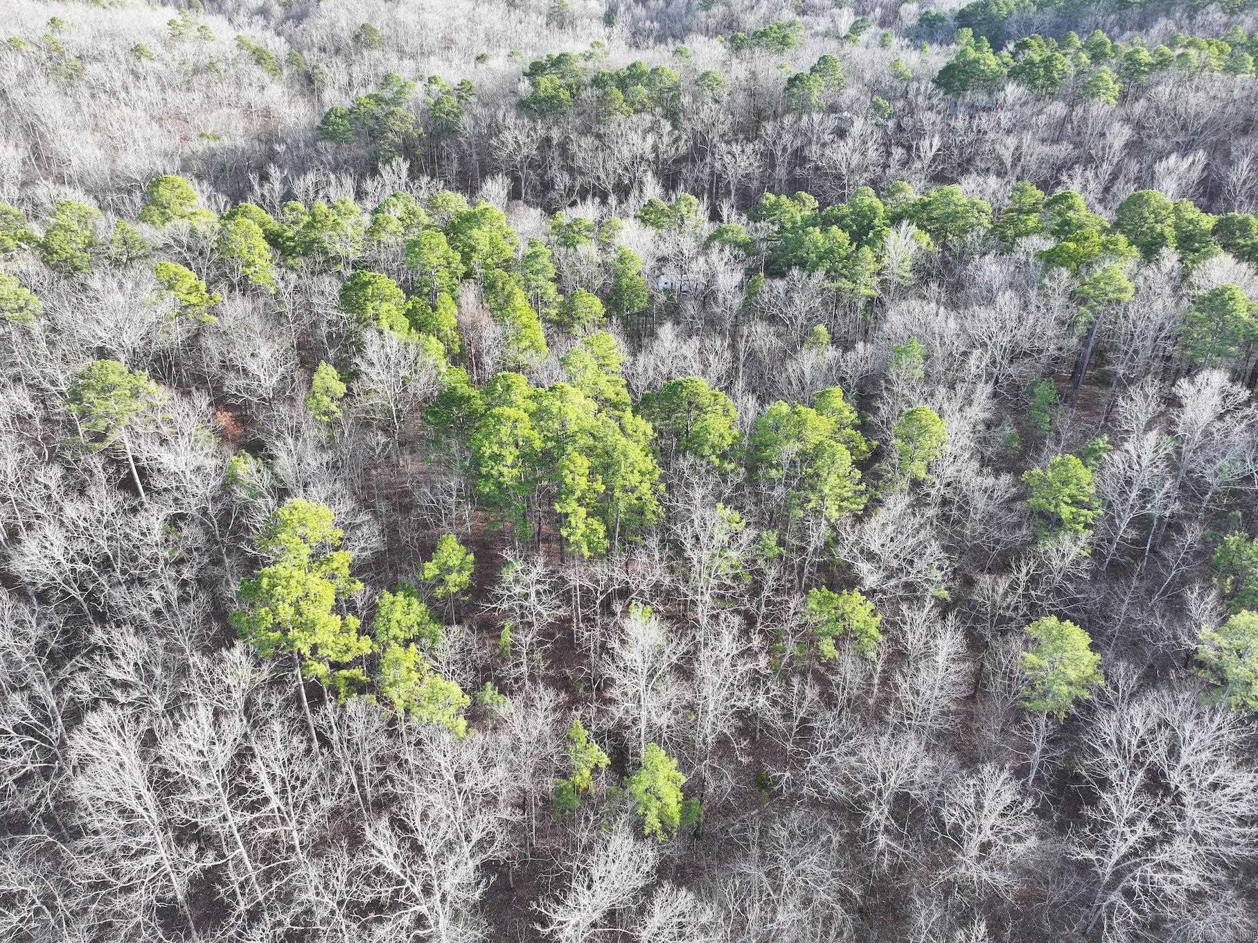 229  Denby Cove Lot 17 Mount Ida, AR