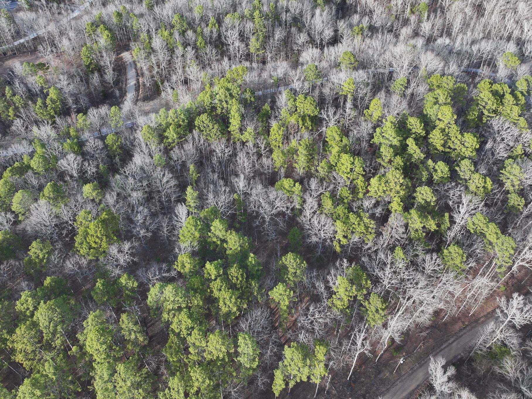 229  Denby Cove Lot 17 Mount Ida, AR
