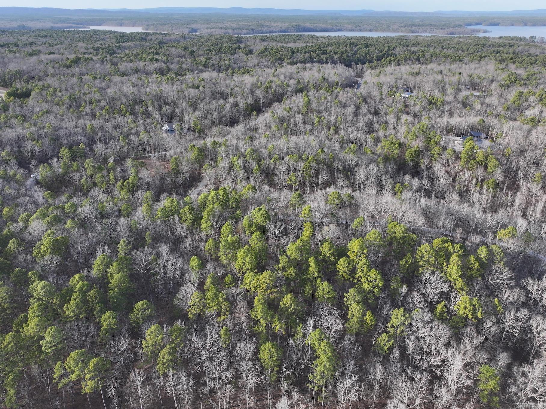 229  Denby Cove Lot 17 Mount Ida, AR