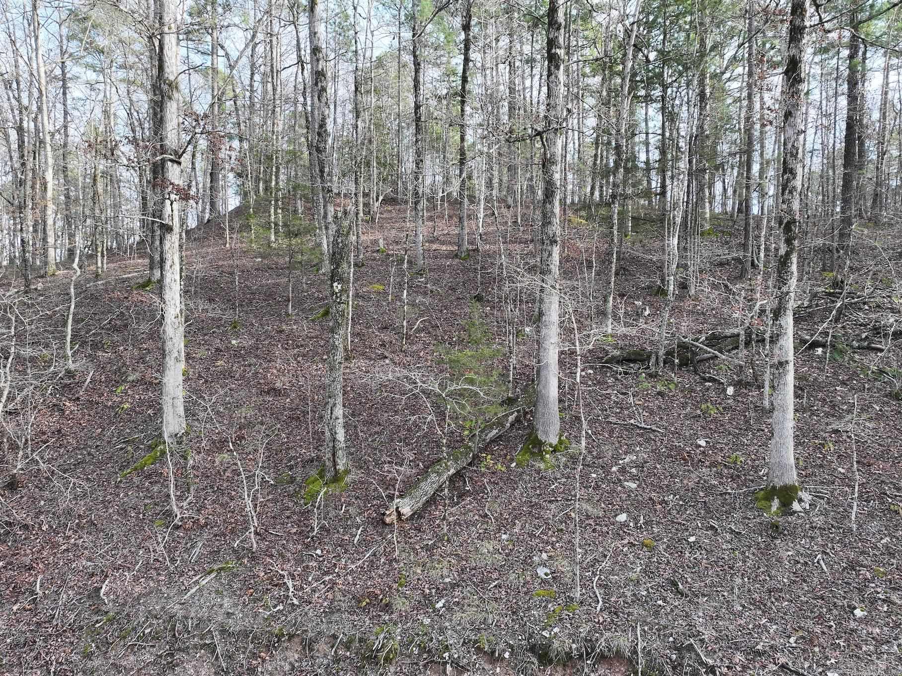 229  Denby Cove Lot 17 Mount Ida, AR