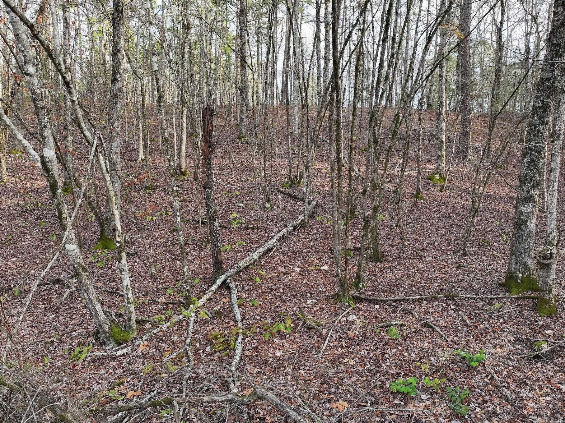 229  Denby Cove Lot 17 Mount Ida, AR