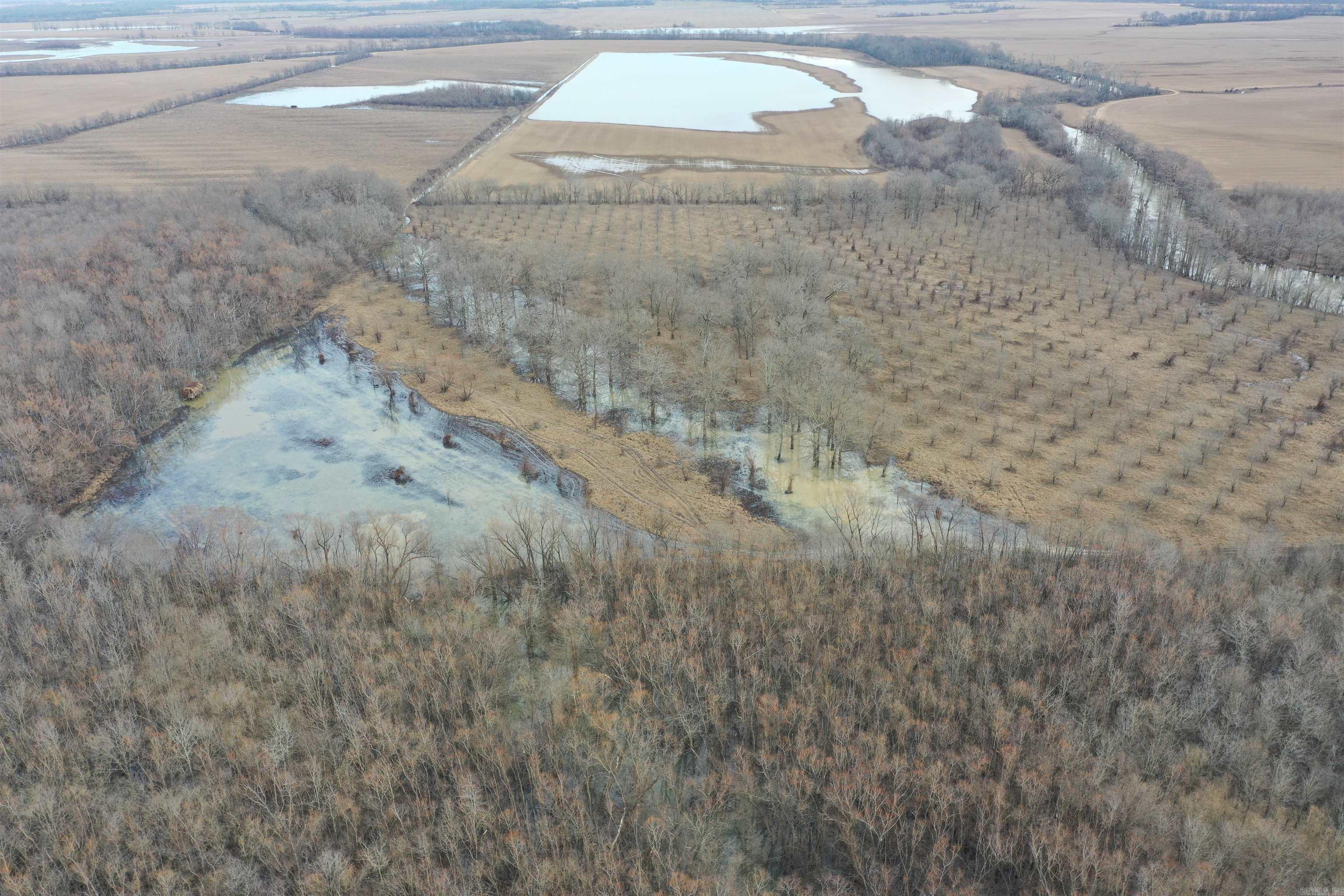 0  Treece  Bradford, AR