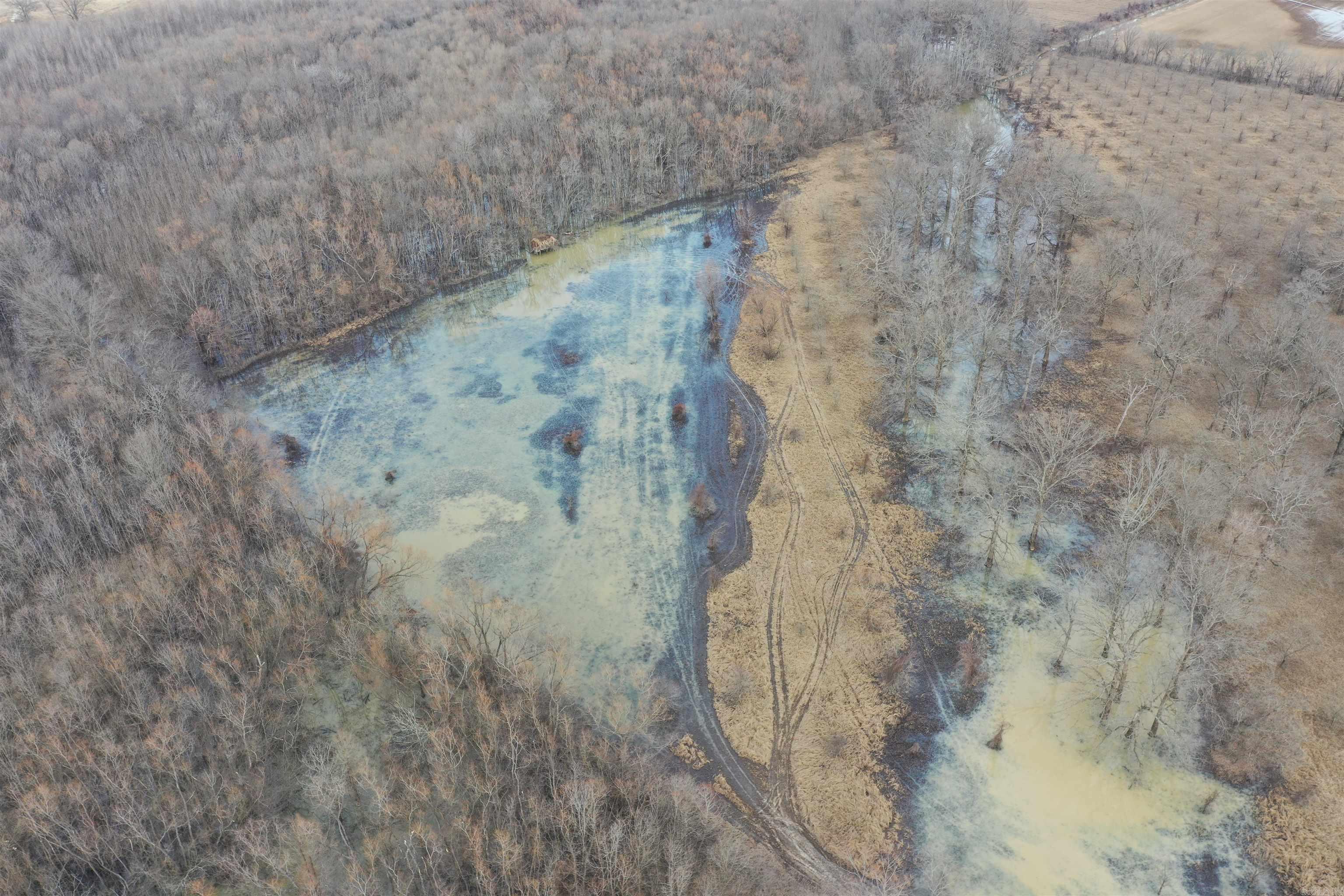 0  Treece  Bradford, AR