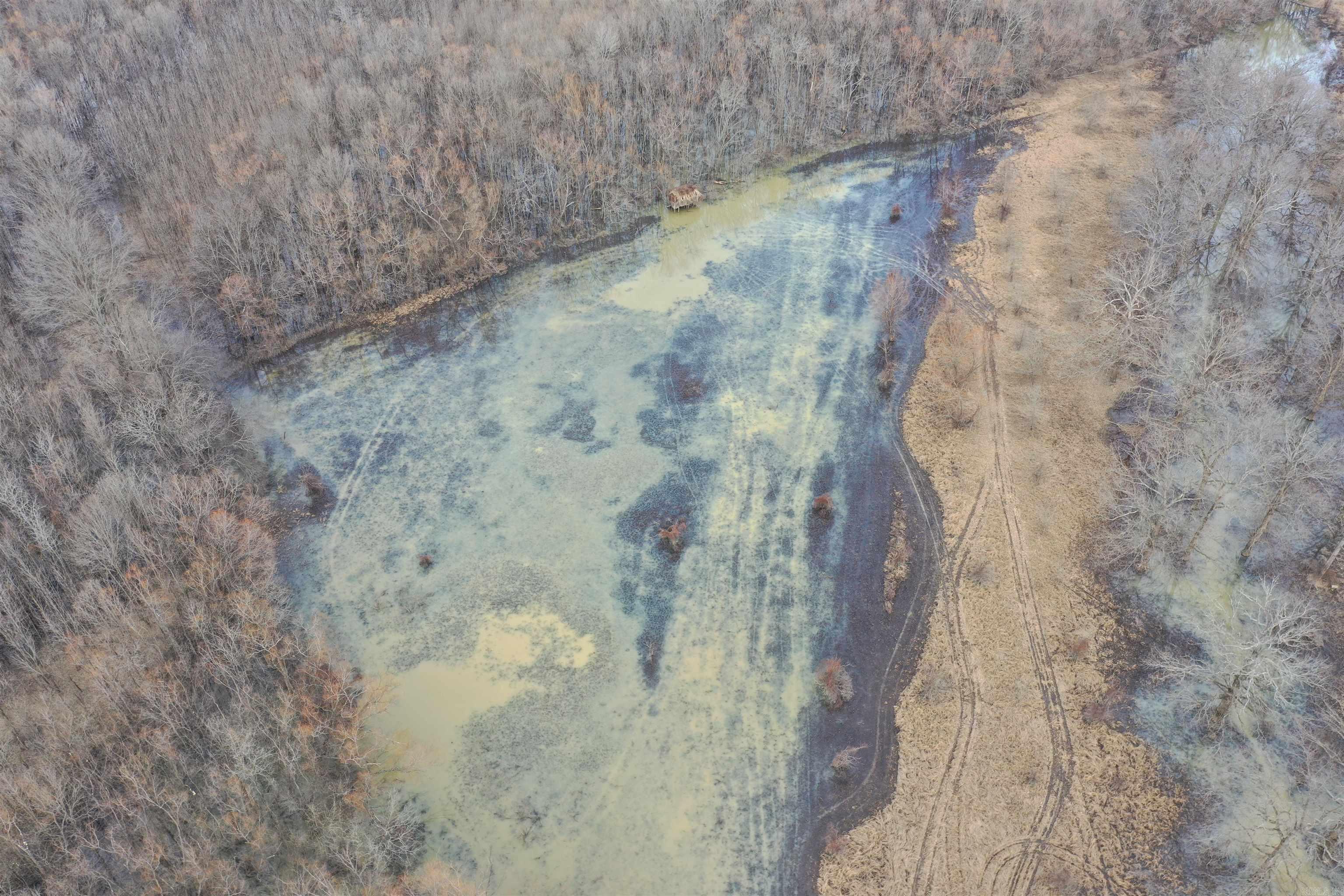 0  Treece  Bradford, AR