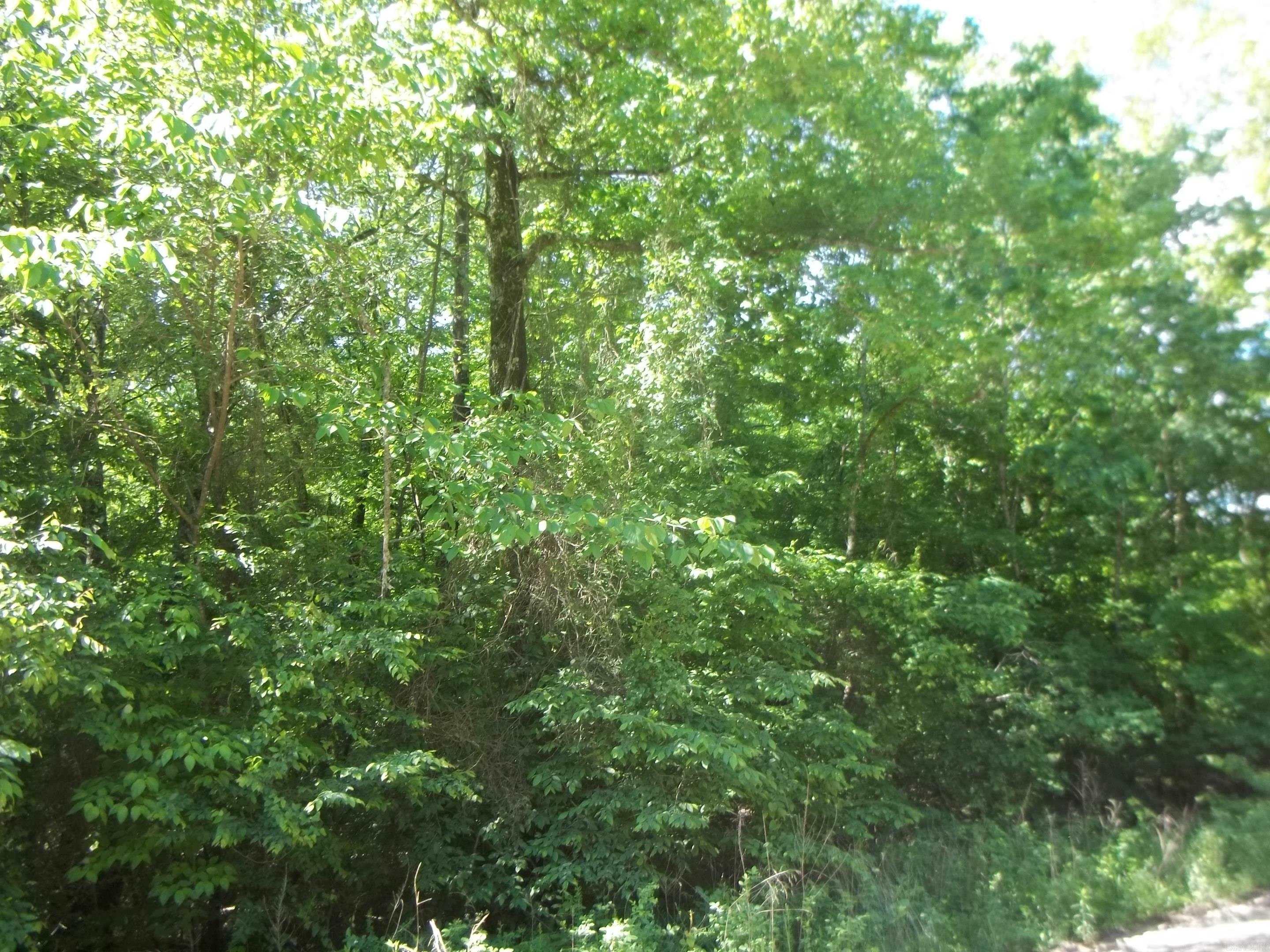 TBD  Polk 69  Mena, AR