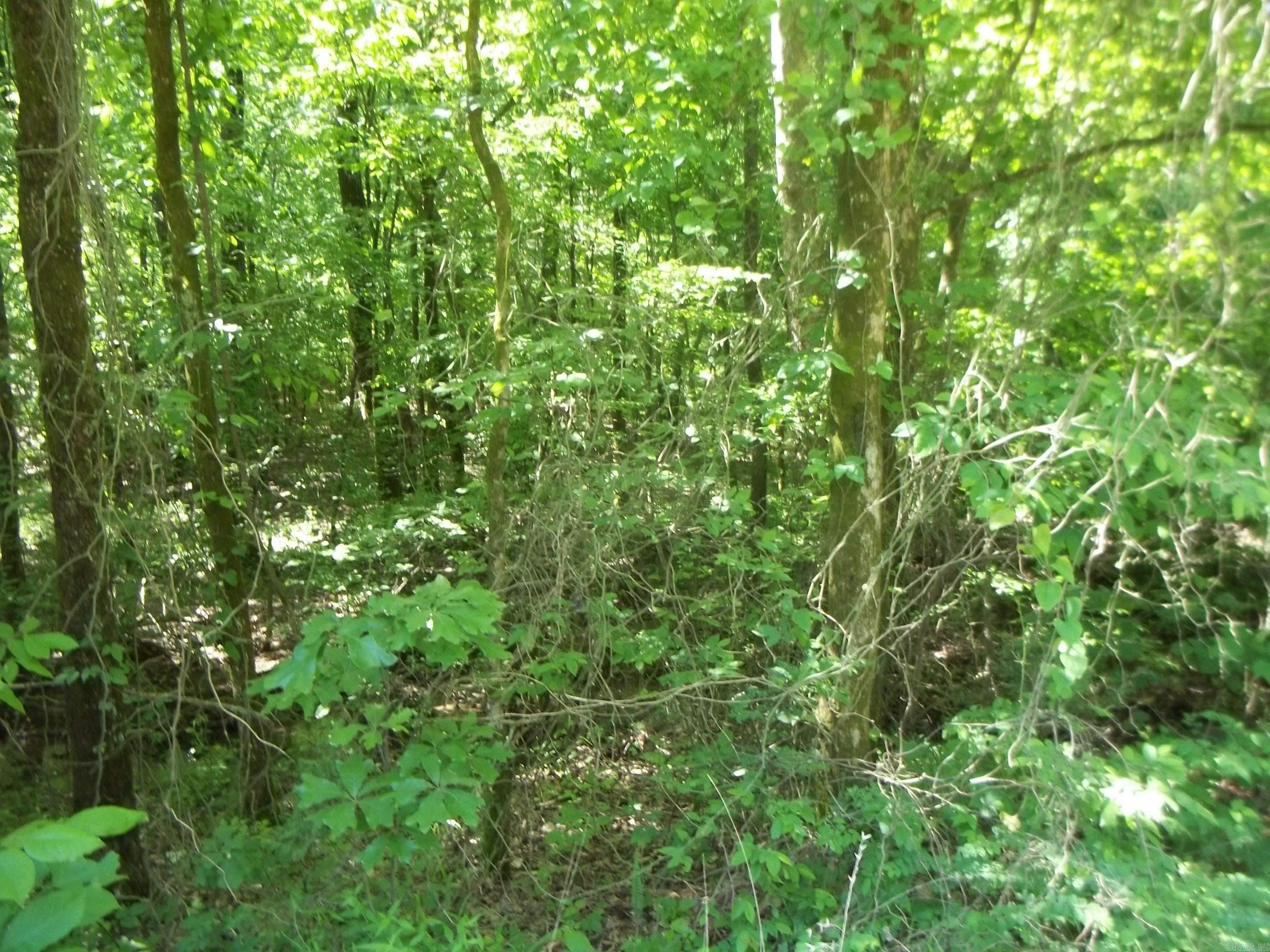 TBD  Polk 69  Mena, AR