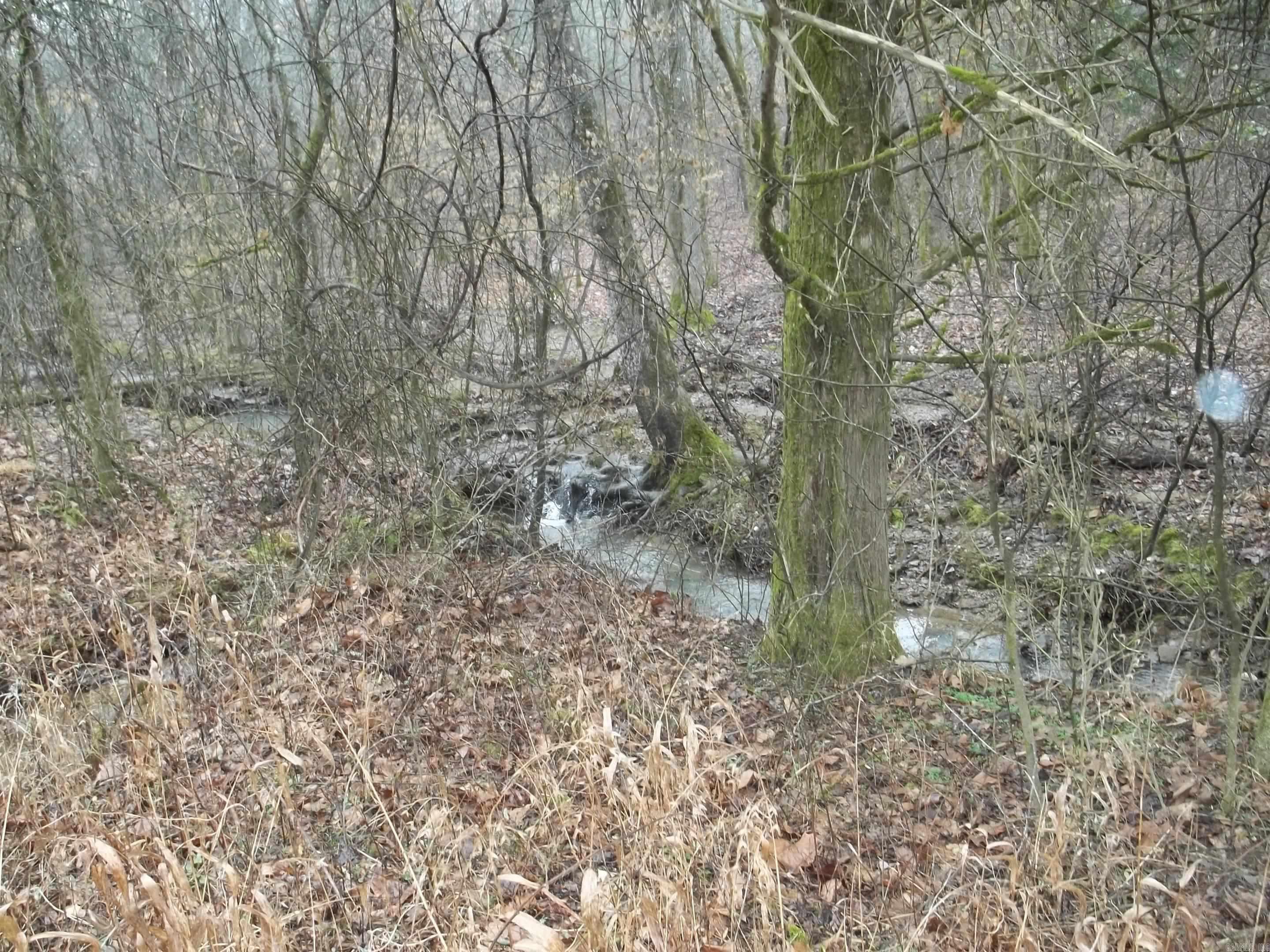 TBD  Polk 69  Mena, AR