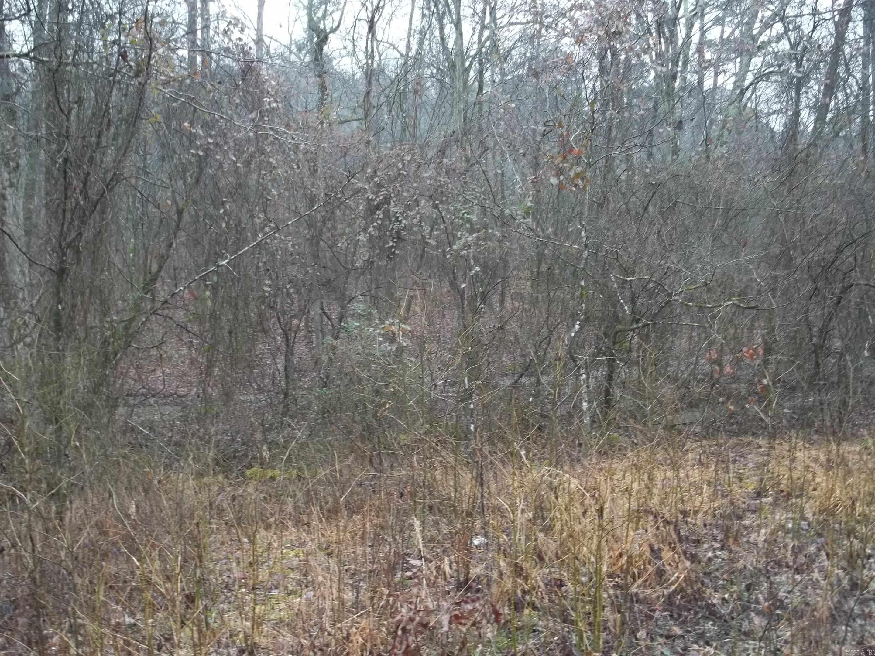 TBD  Polk 69  Mena, AR