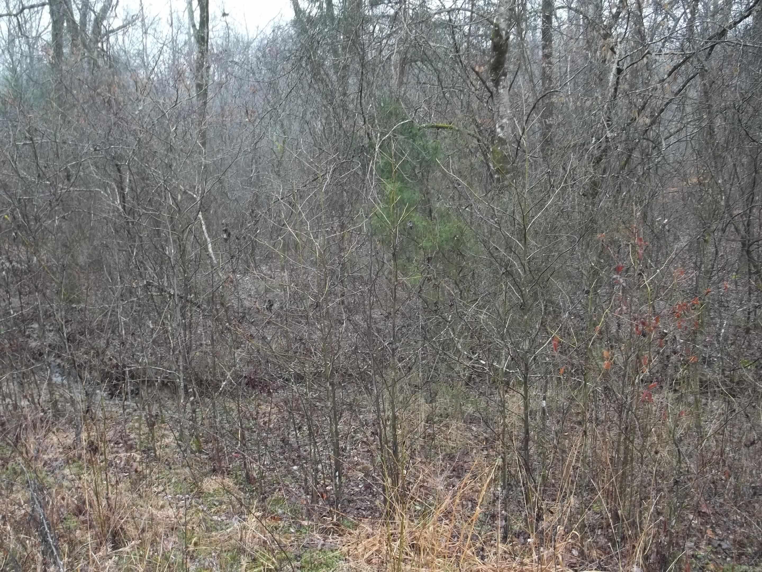 TBD  Polk 69  Mena, AR