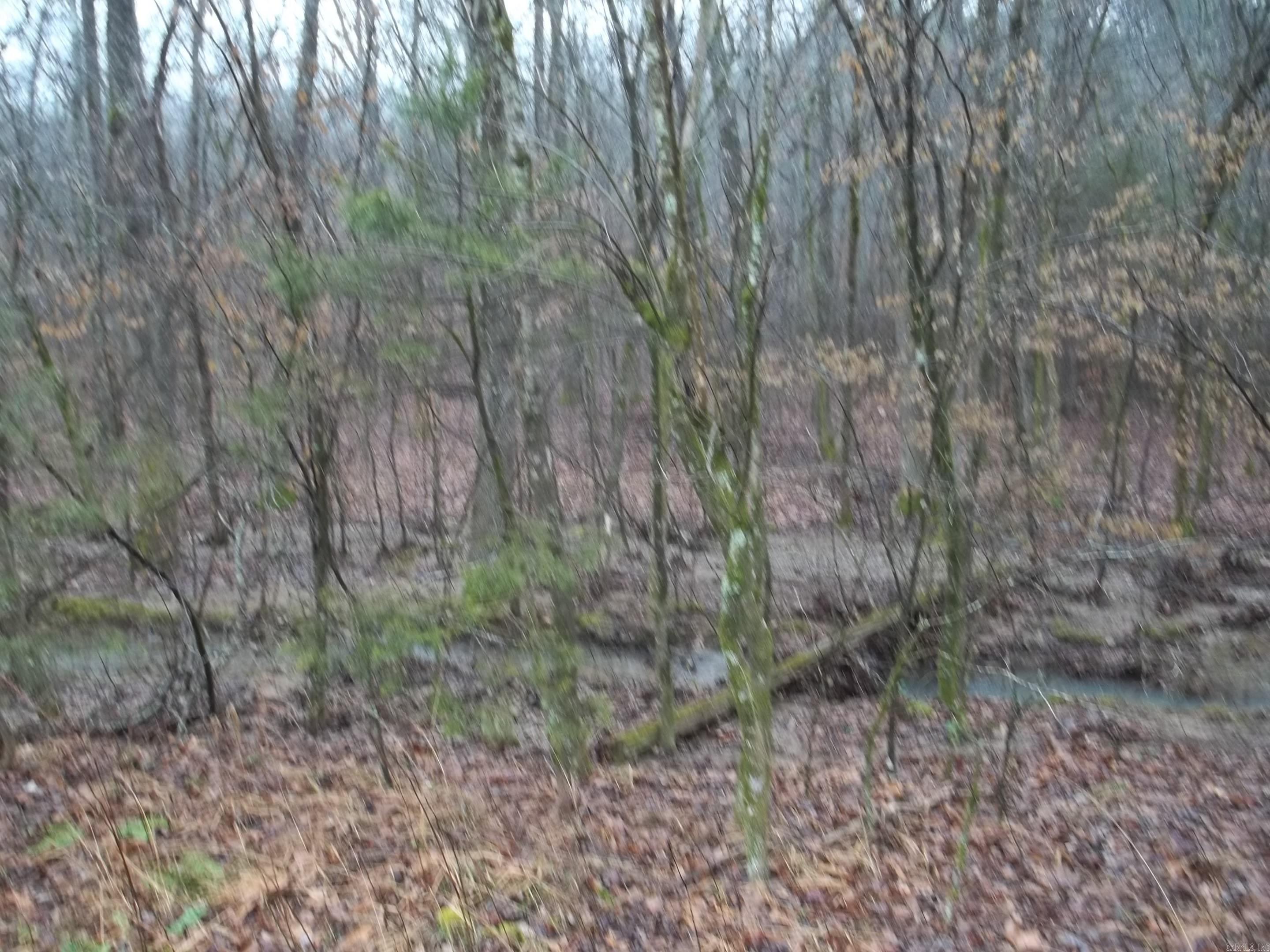 TBD  Polk 69  Mena, AR