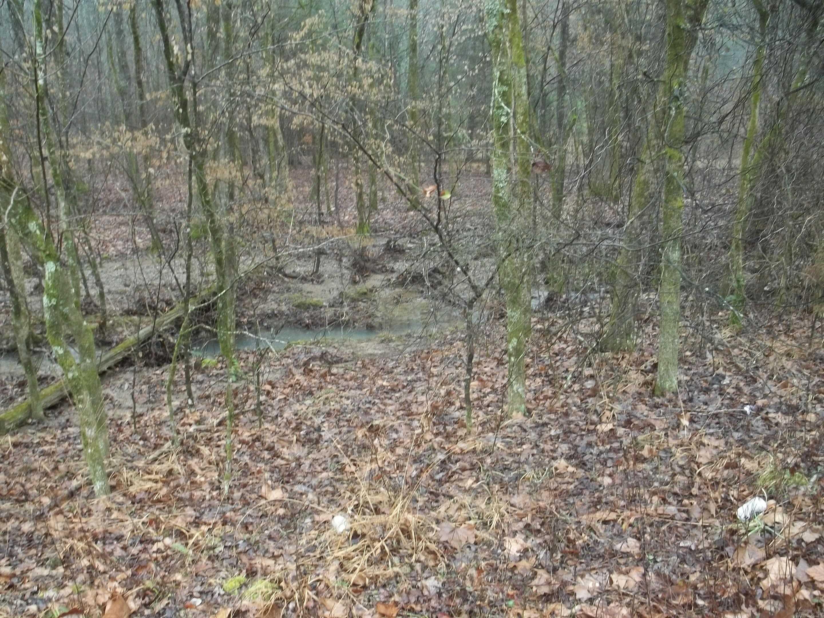 TBD  Polk 69  Mena, AR