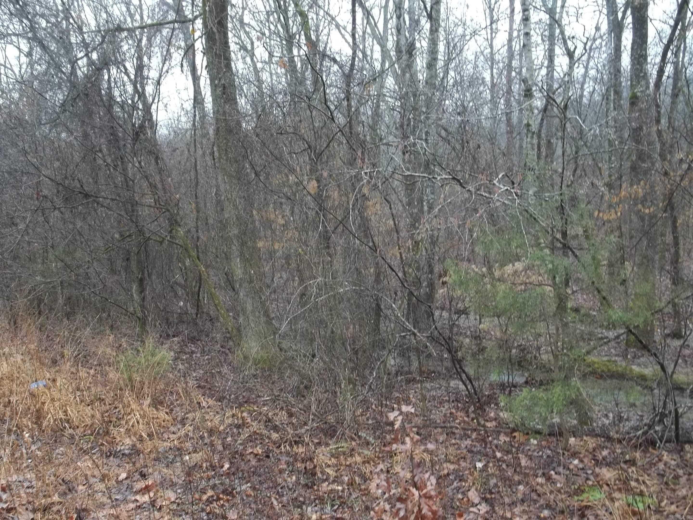 TBD  Polk 69  Mena, AR
