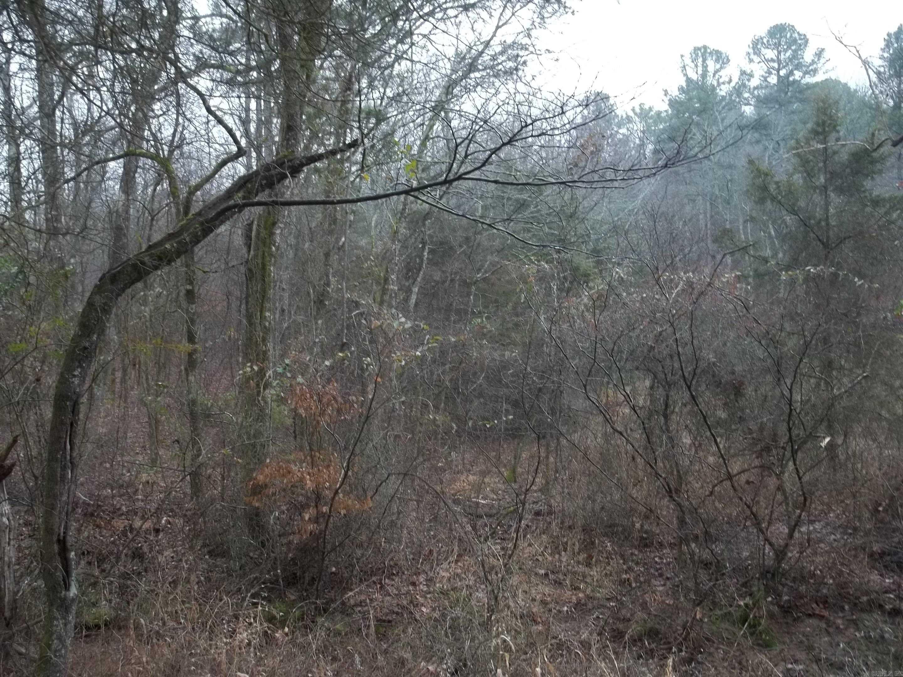 TBD  Polk 69  Mena, AR