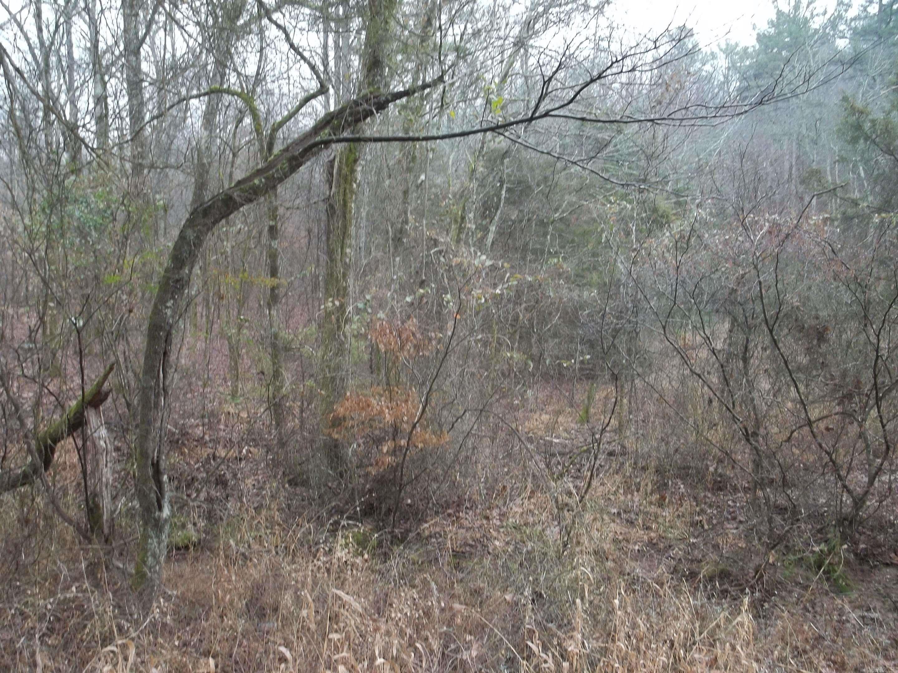 TBD  Polk 69  Mena, AR