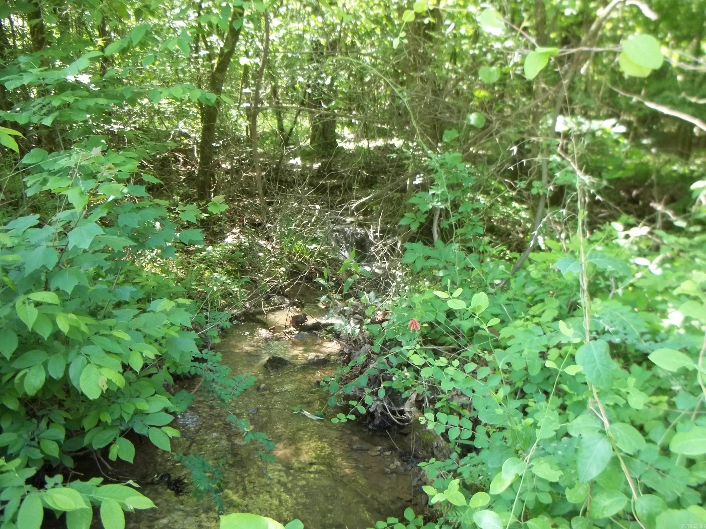 TBD  Polk 69  Mena, AR