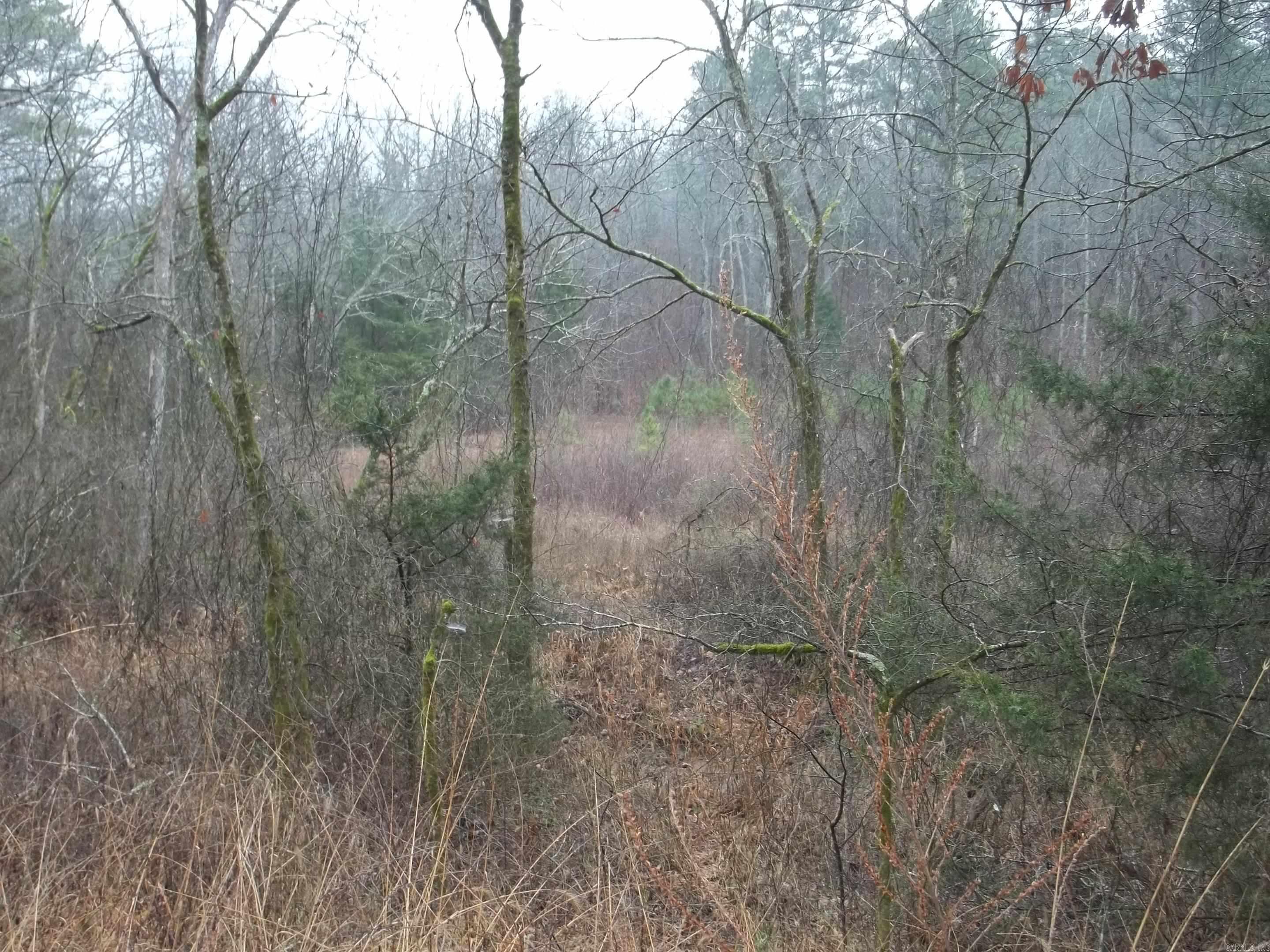 TBD  Polk 69  Mena, AR
