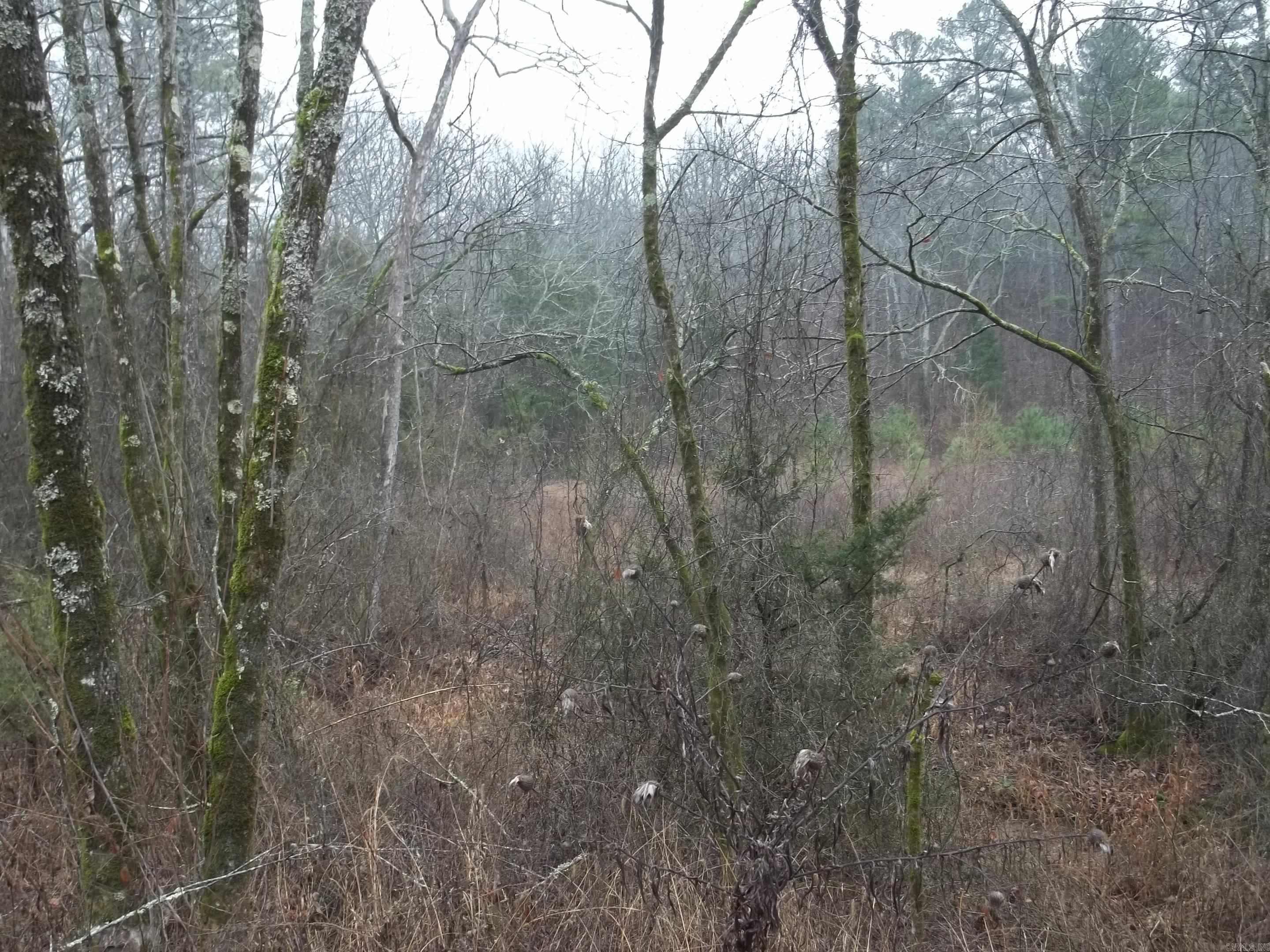 TBD  Polk 69  Mena, AR