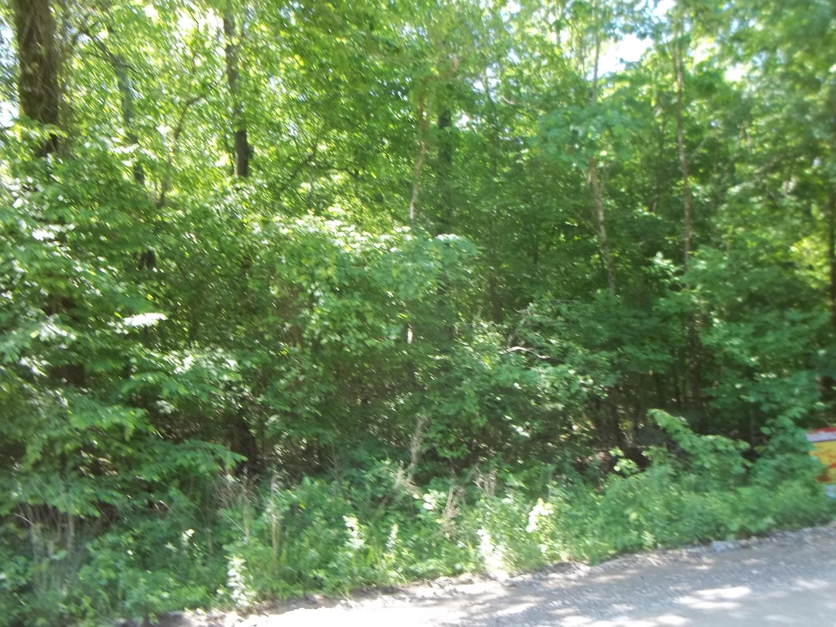 TBD  Polk 69  Mena, AR